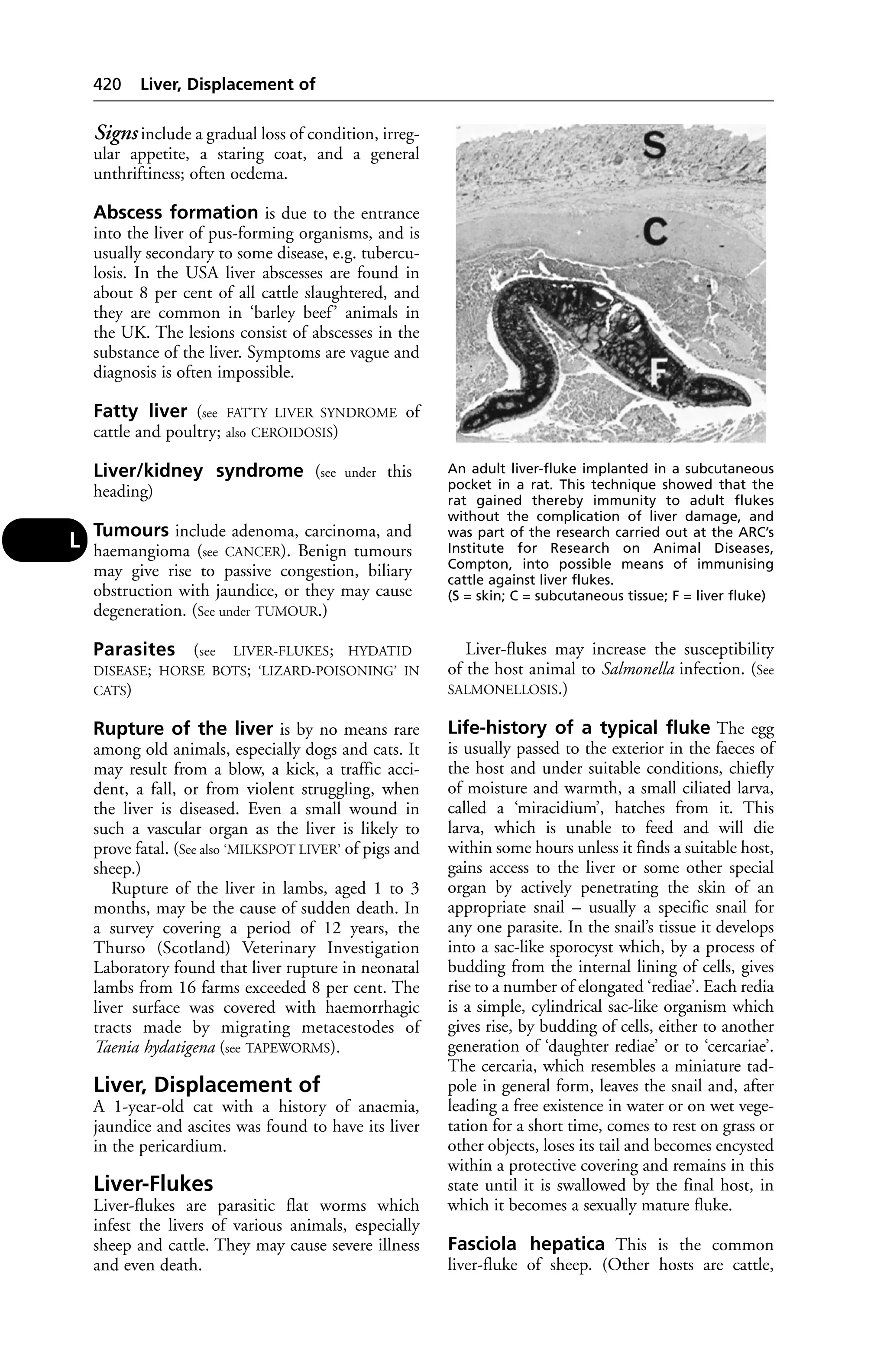 Veterinary dictionary _21st_edition