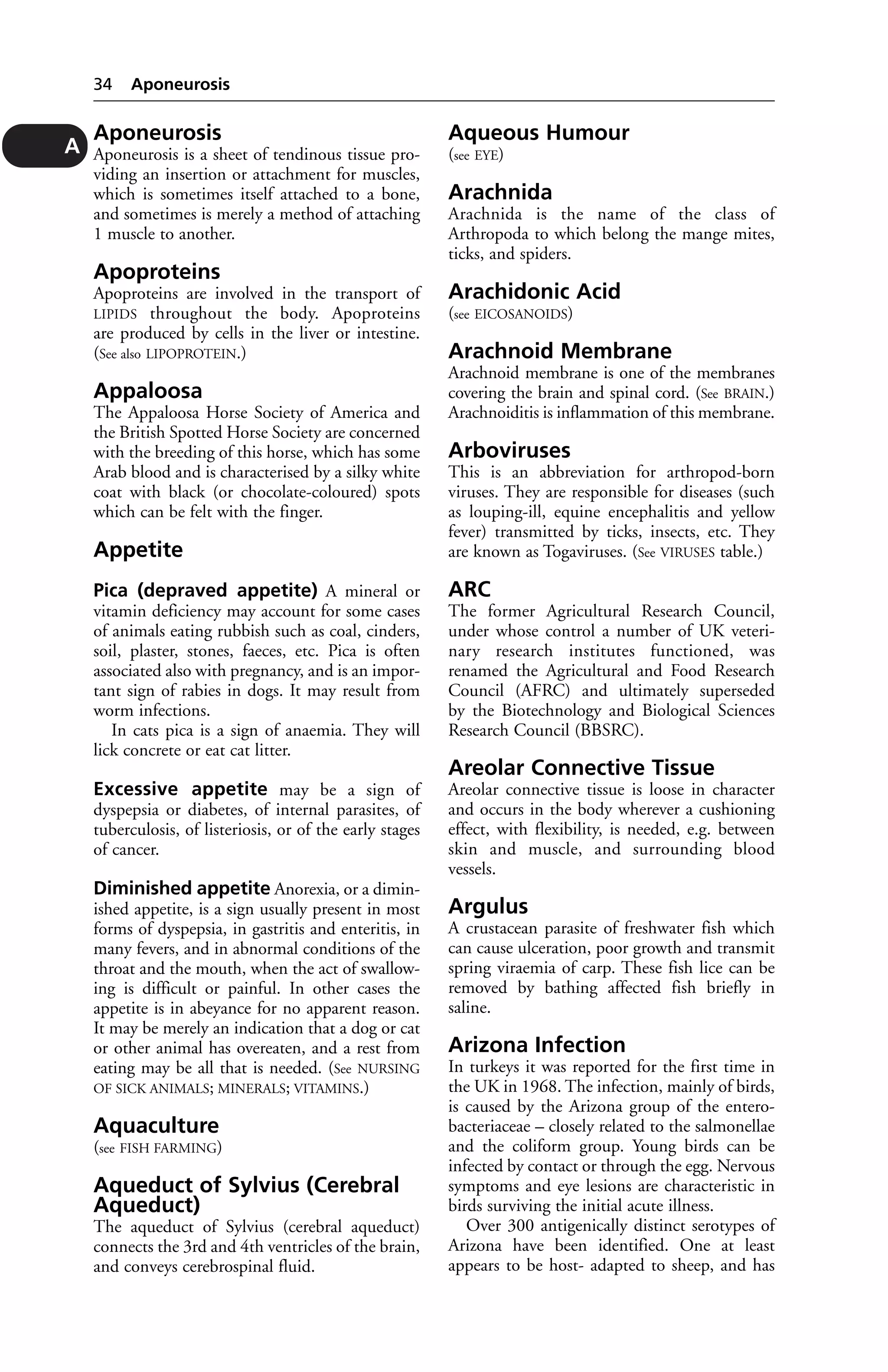 Aponeurosis 
Aponeurosis is a sheet of tendinous tissue pro-viding 
an insertion or attachment for muscles, 
which is sometimes itself attached to a bone, 
and sometimes is merely a method of attaching 
1 muscle to another. 
Apoproteins 
Apoproteins are involved in the transport of 
LIPIDS throughout the body. Apoproteins 
are produced by cells in the liver or intestine. 
(See also LIPOPROTEIN.) 
Appaloosa 
The Appaloosa Horse Society of America and 
the British Spotted Horse Society are concerned 
with the breeding of this horse, which has some 
Arab blood and is characterised by a silky white 
coat with black (or chocolate-coloured) spots 
which can be felt with the finger. 
Appetite 
Pica (depraved appetite) A mineral or 
vitamin deficiency may account for some cases 
of animals eating rubbish such as coal, cinders, 
soil, plaster, stones, faeces, etc. Pica is often 
associated also with pregnancy, and is an impor-tant 
sign of rabies in dogs. It may result from 
worm infections. 
In cats pica is a sign of anaemia. They will 
lick concrete or eat cat litter. 
Excessive appetite may be a sign of 
dyspepsia or diabetes, of internal parasites, of 
tuberculosis, of listeriosis, or of the early stages 
of cancer. 
Diminished appetite Anorexia, or a dimin-ished 
appetite, is a sign usually present in most 
forms of dyspepsia, in gastritis and enteritis, in 
many fevers, and in abnormal conditions of the 
throat and the mouth, when the act of swallow-ing 
is difficult or painful. In other cases the 
appetite is in abeyance for no apparent reason. 
It may be merely an indication that a dog or cat 
or other animal has overeaten, and a rest from 
eating may be all that is needed. (See NURSING 
OF SICK ANIMALS; MINERALS; VITAMINS.) 
Aquaculture 
(see FISH FARMING) 
Aqueduct of Sylvius (Cerebral 
Aqueduct) 
The aqueduct of Sylvius (cerebral aqueduct) 
connects the 3rd and 4th ventricles of the brain, 
and conveys cerebrospinal fluid. 
Aqueous Humour 
(see EYE) 
Arachnida 
Arachnida is the name of the class of 
Arthropoda to which belong the mange mites, 
ticks, and spiders. 
Arachidonic Acid 
(see EICOSANOIDS) 
Arachnoid Membrane 
Arachnoid membrane is one of the membranes 
covering the brain and spinal cord. (See BRAIN.) 
Arachnoiditis is inflammation of this membrane. 
Arboviruses 
This is an abbreviation for arthropod-born 
viruses. They are responsible for diseases (such 
as louping-ill, equine encephalitis and yellow 
fever) transmitted by ticks, insects, etc. They 
are known as Togaviruses. (See VIRUSES table.) 
ARC 
The former Agricultural Research Council, 
under whose control a number of UK veteri-nary 
research institutes functioned, was 
renamed the Agricultural and Food Research 
Council (AFRC) and ultimately superseded 
by the Biotechnology and Biological Sciences 
Research Council (BBSRC). 
Areolar Connective Tissue 
Areolar connective tissue is loose in character 
and occurs in the body wherever a cushioning 
effect, with flexibility, is needed, e.g. between 
skin and muscle, and surrounding blood 
vessels. 
Argulus 
A crustacean parasite of freshwater fish which 
can cause ulceration, poor growth and transmit 
spring viraemia of carp. These fish lice can be 
removed by bathing affected fish briefly in 
saline. 
Arizona Infection 
In turkeys it was reported for the first time in 
the UK in 1968. The infection, mainly of birds, 
is caused by the Arizona group of the entero-bacteriaceae 
– closely related to the salmonellae 
and the coliform group. Young birds can be 
infected by contact or through the egg. Nervous 
symptoms and eye lesions are characteristic in 
birds surviving the initial acute illness. 
Over 300 antigenically distinct serotypes of 
Arizona have been identified. One at least 
appears to be host- adapted to sheep, and has 
34 Aponeurosis 
A 
 
