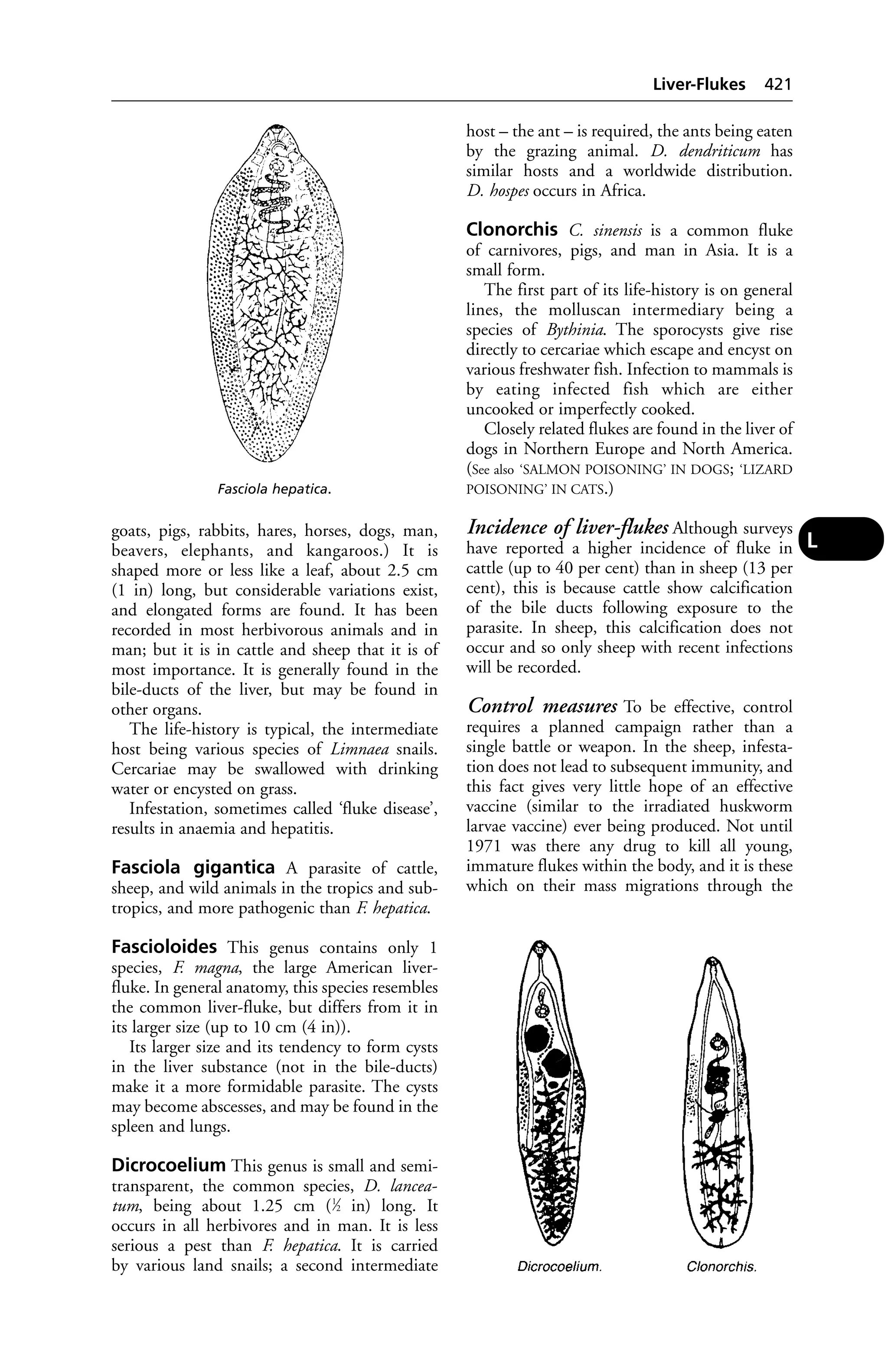 Veterinary dictionary _21st_edition