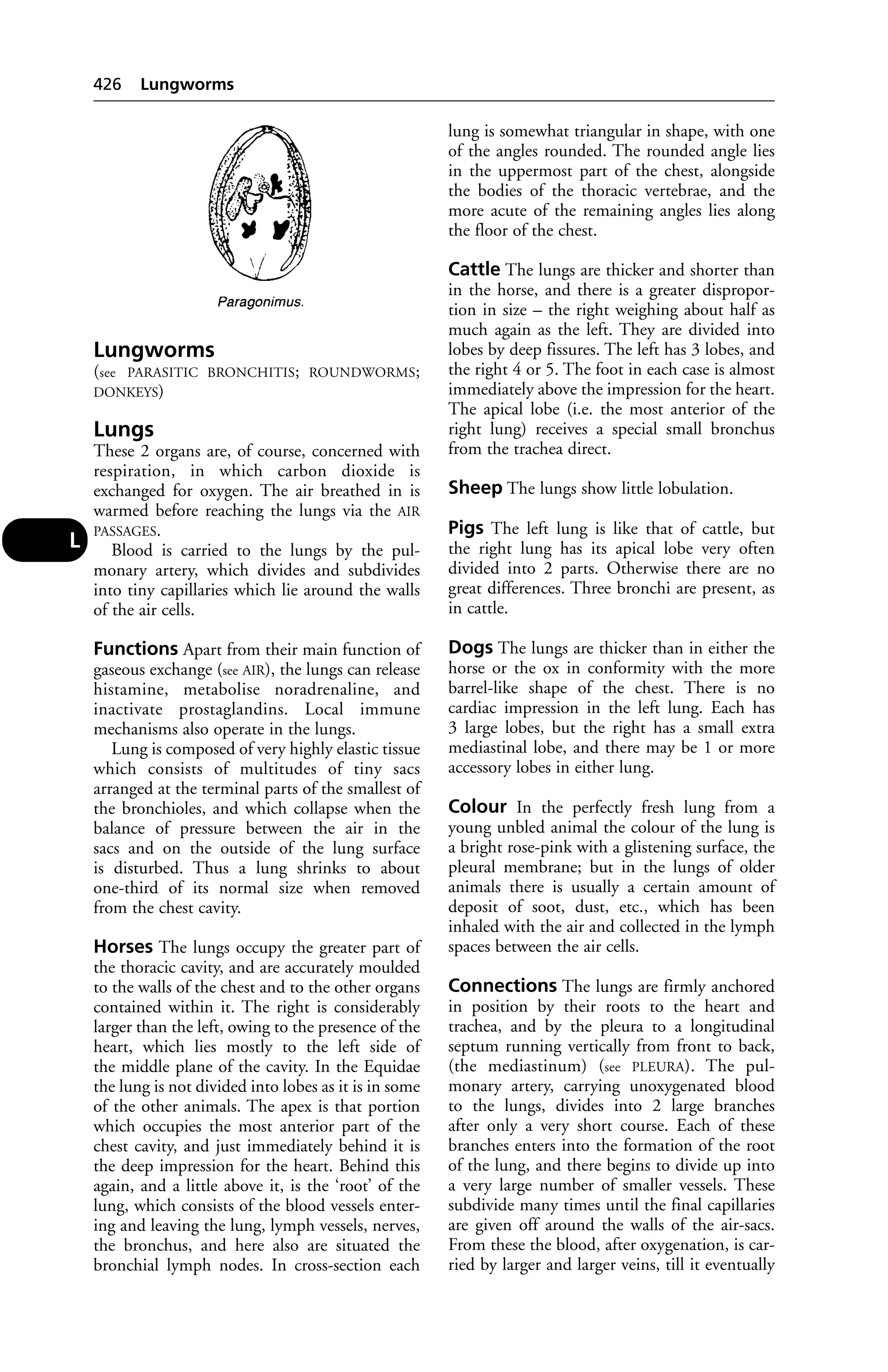 Veterinary dictionary _21st_edition