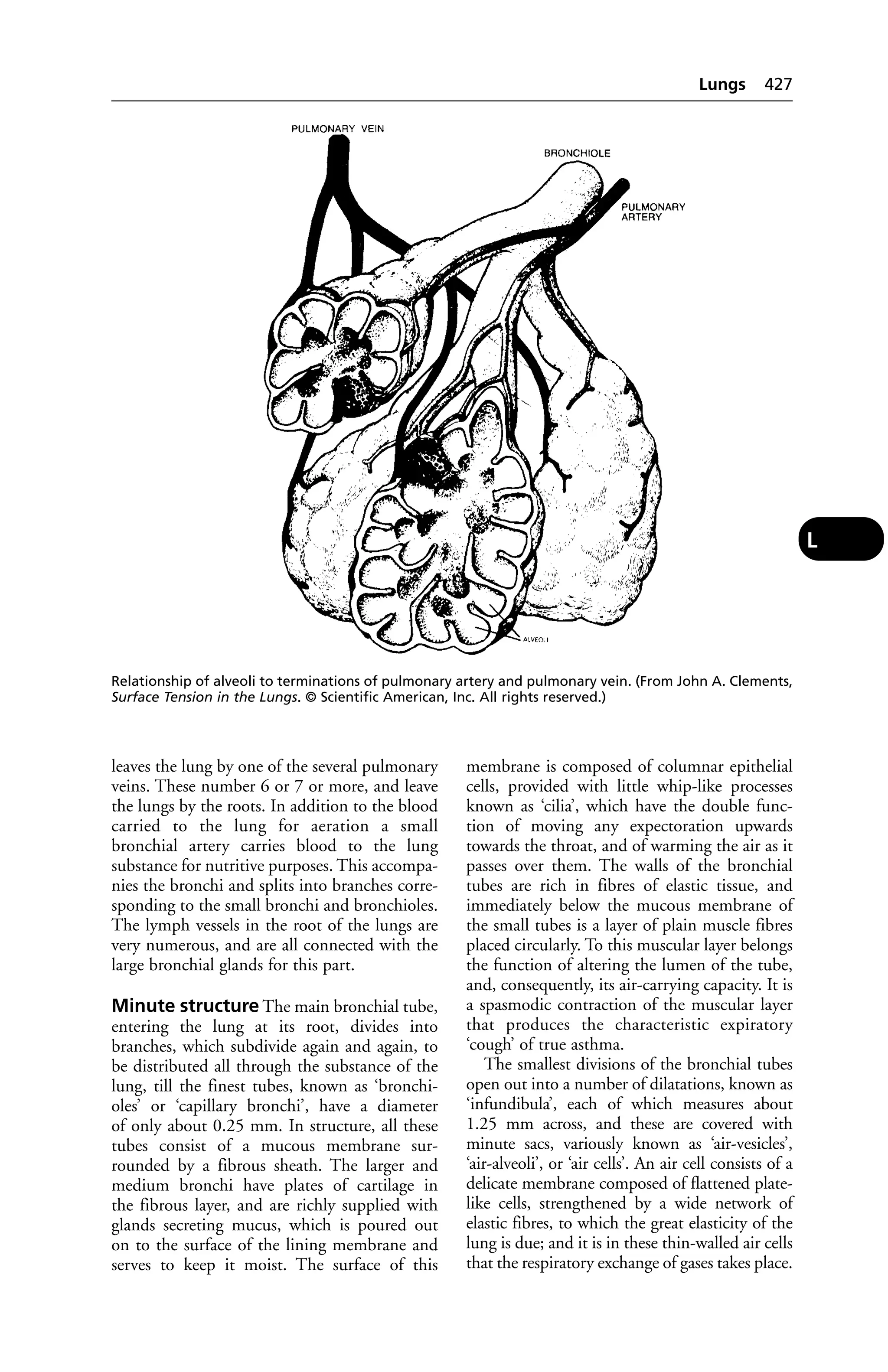 Veterinary dictionary _21st_edition