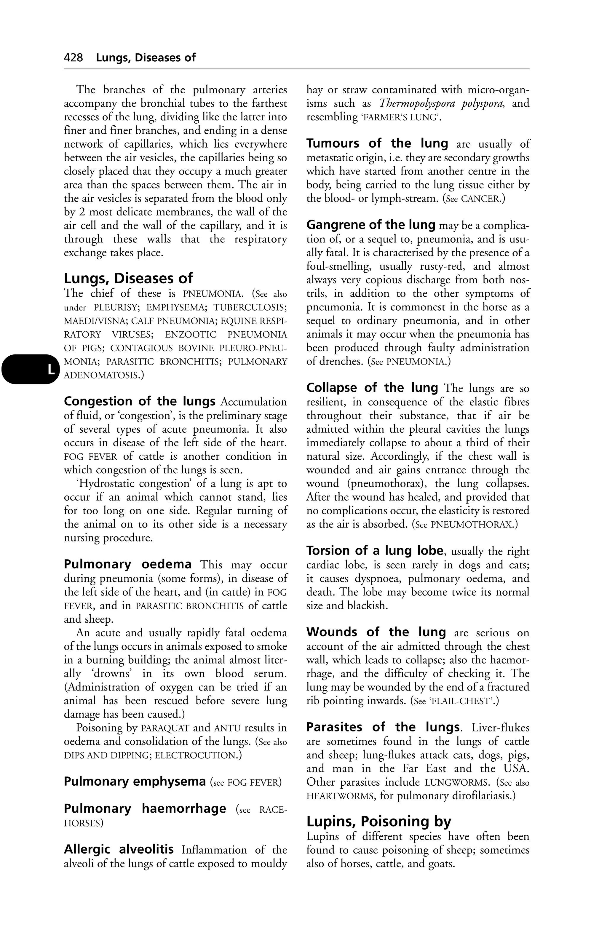 Veterinary dictionary _21st_edition