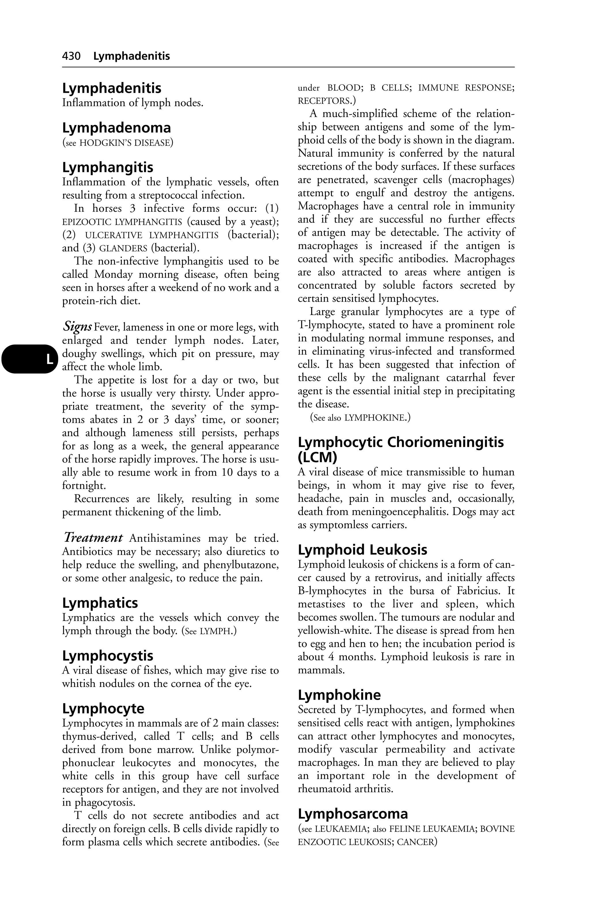 Veterinary dictionary _21st_edition