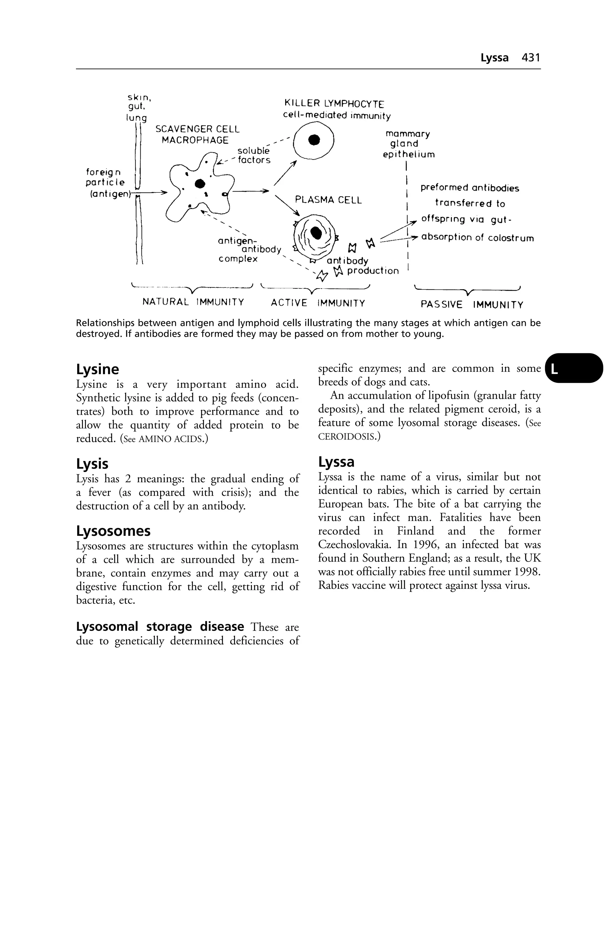 Veterinary dictionary _21st_edition