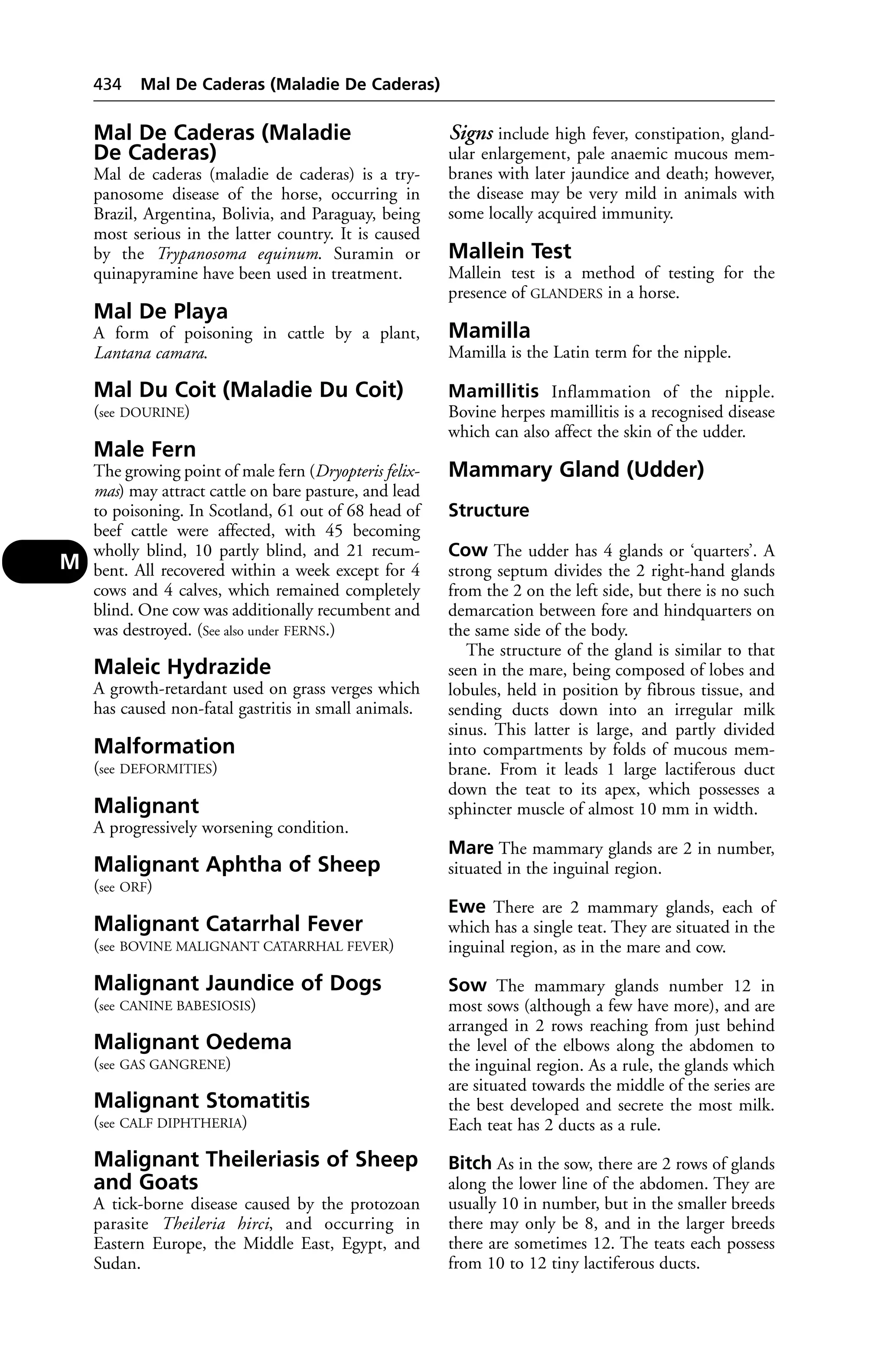 Veterinary dictionary _21st_edition