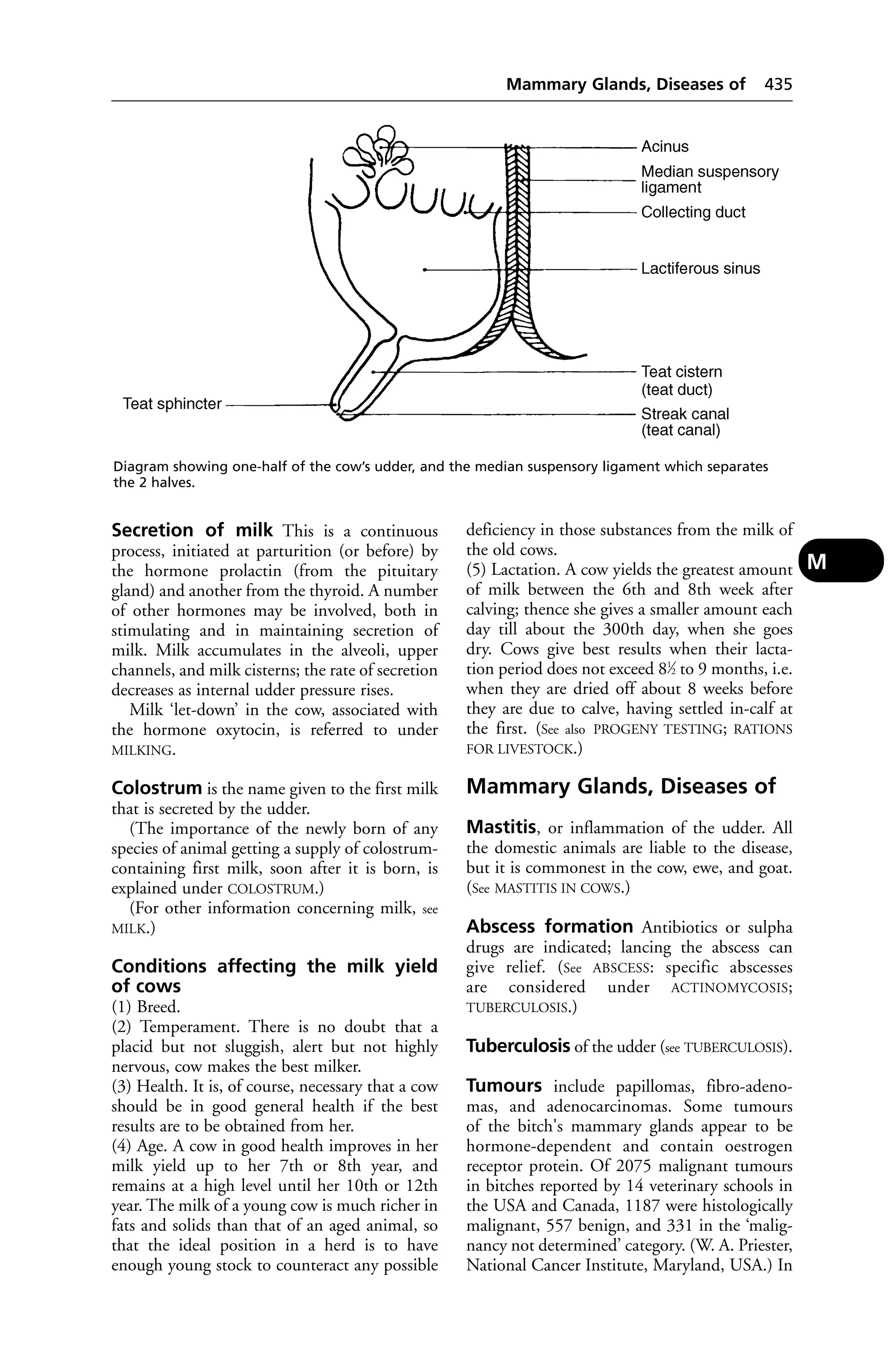 Veterinary dictionary _21st_edition