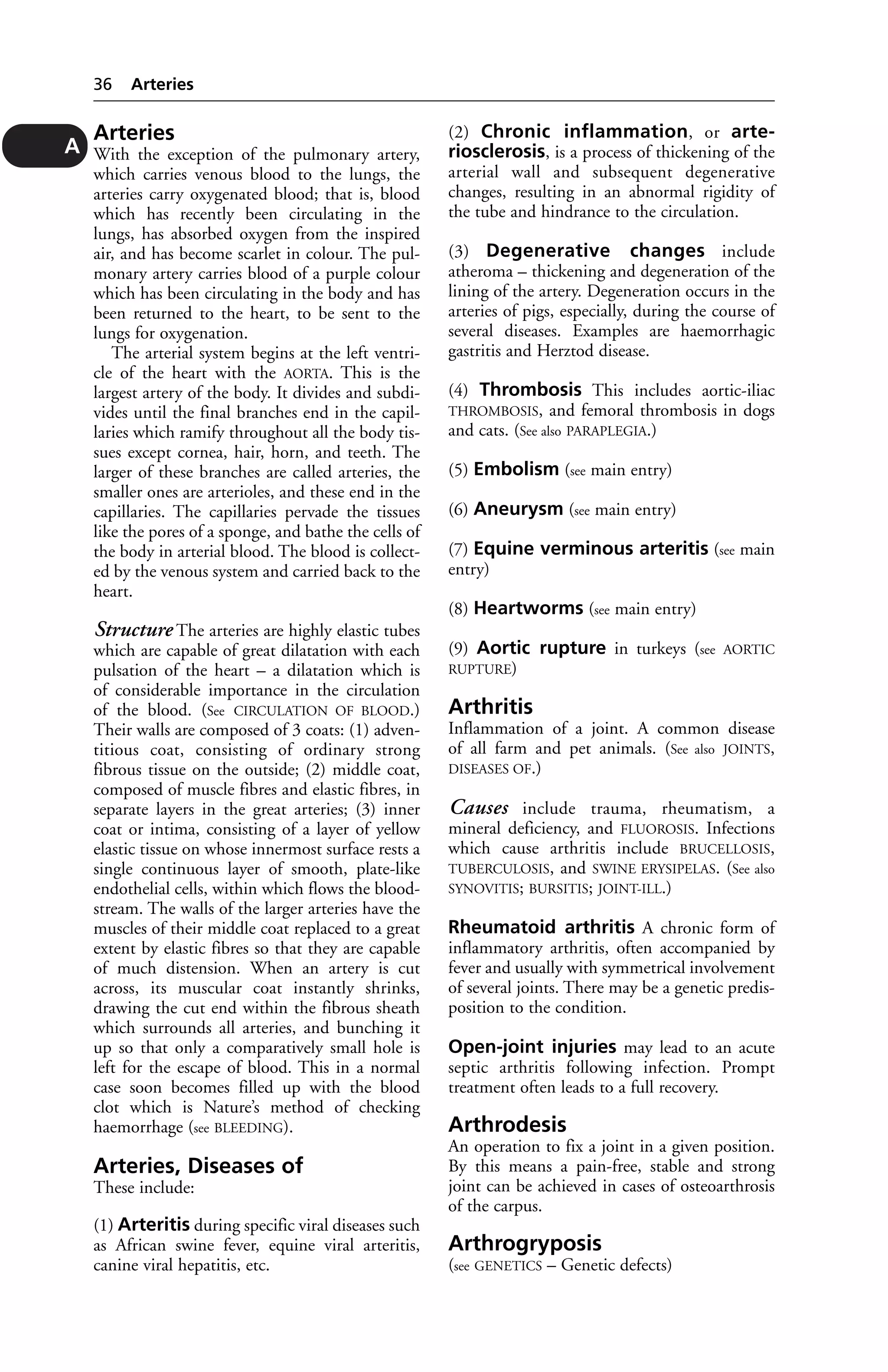 Arteries 
With the exception of the pulmonary artery, 
which carries venous blood to the lungs, the 
arteries carry oxygenated blood; that is, blood 
which has recently been circulating in the 
lungs, has absorbed oxygen from the inspired 
air, and has become scarlet in colour. The pul-monary 
artery carries blood of a purple colour 
which has been circulating in the body and has 
been returned to the heart, to be sent to the 
lungs for oxygenation. 
The arterial system begins at the left ventri-cle 
of the heart with the AORTA. This is the 
largest artery of the body. It divides and subdi-vides 
until the final branches end in the capil-laries 
which ramify throughout all the body tis-sues 
except cornea, hair, horn, and teeth. The 
larger of these branches are called arteries, the 
smaller ones are arterioles, and these end in the 
capillaries. The capillaries pervade the tissues 
like the pores of a sponge, and bathe the cells of 
the body in arterial blood. The blood is collect-ed 
by the venous system and carried back to the 
heart. 
Structure The arteries are highly elastic tubes 
which are capable of great dilatation with each 
pulsation of the heart – a dilatation which is 
of considerable importance in the circulation 
of the blood. (See CIRCULATION OF BLOOD.) 
Their walls are composed of 3 coats: (1) adven-titious 
coat, consisting of ordinary strong 
fibrous tissue on the outside; (2) middle coat, 
composed of muscle fibres and elastic fibres, in 
separate layers in the great arteries; (3) inner 
coat or intima, consisting of a layer of yellow 
elastic tissue on whose innermost surface rests a 
single continuous layer of smooth, plate-like 
endothelial cells, within which flows the blood-stream. 
The walls of the larger arteries have the 
muscles of their middle coat replaced to a great 
extent by elastic fibres so that they are capable 
of much distension. When an artery is cut 
across, its muscular coat instantly shrinks, 
drawing the cut end within the fibrous sheath 
which surrounds all arteries, and bunching it 
up so that only a comparatively small hole is 
left for the escape of blood. This in a normal 
case soon becomes filled up with the blood 
clot which is Nature’s method of checking 
haemorrhage (see BLEEDING). 
Arteries, Diseases of 
These include: 
(1) Arteritis during specific viral diseases such 
as African swine fever, equine viral arteritis, 
canine viral hepatitis, etc. 
(2) Chronic inflammation, or arte-riosclerosis, 
is a process of thickening of the 
arterial wall and subsequent degenerative 
changes, resulting in an abnormal rigidity of 
the tube and hindrance to the circulation. 
(3) Degenerative changes include 
atheroma – thickening and degeneration of the 
lining of the artery. Degeneration occurs in the 
arteries of pigs, especially, during the course of 
several diseases. Examples are haemorrhagic 
gastritis and Herztod disease. 
(4) Thrombosis This includes aortic-iliac 
THROMBOSIS, and femoral thrombosis in dogs 
and cats. (See also PARAPLEGIA.) 
(5) Embolism (see main entry) 
(6) Aneurysm (see main entry) 
(7) Equine verminous arteritis (see main 
entry) 
(8) Heartworms (see main entry) 
(9) Aortic rupture in turkeys (see AORTIC 
RUPTURE) 
Arthritis 
Inflammation of a joint. A common disease 
of all farm and pet animals. (See also JOINTS, 
DISEASES OF.) 
Causes include trauma, rheumatism, a 
mineral deficiency, and FLUOROSIS. Infections 
which cause arthritis include BRUCELLOSIS, 
TUBERCULOSIS, and SWINE ERYSIPELAS. (See also 
SYNOVITIS; BURSITIS; JOINT-ILL.) 
Rheumatoid arthritis A chronic form of 
inflammatory arthritis, often accompanied by 
fever and usually with symmetrical involvement 
of several joints. There may be a genetic predis-position 
to the condition. 
Open-joint injuries may lead to an acute 
septic arthritis following infection. Prompt 
treatment often leads to a full recovery. 
Arthrodesis 
An operation to fix a joint in a given position. 
By this means a pain-free, stable and strong 
joint can be achieved in cases of osteoarthrosis 
of the carpus. 
Arthrogryposis 
(see GENETICS – Genetic defects) 
36 Arteries 
A 
 