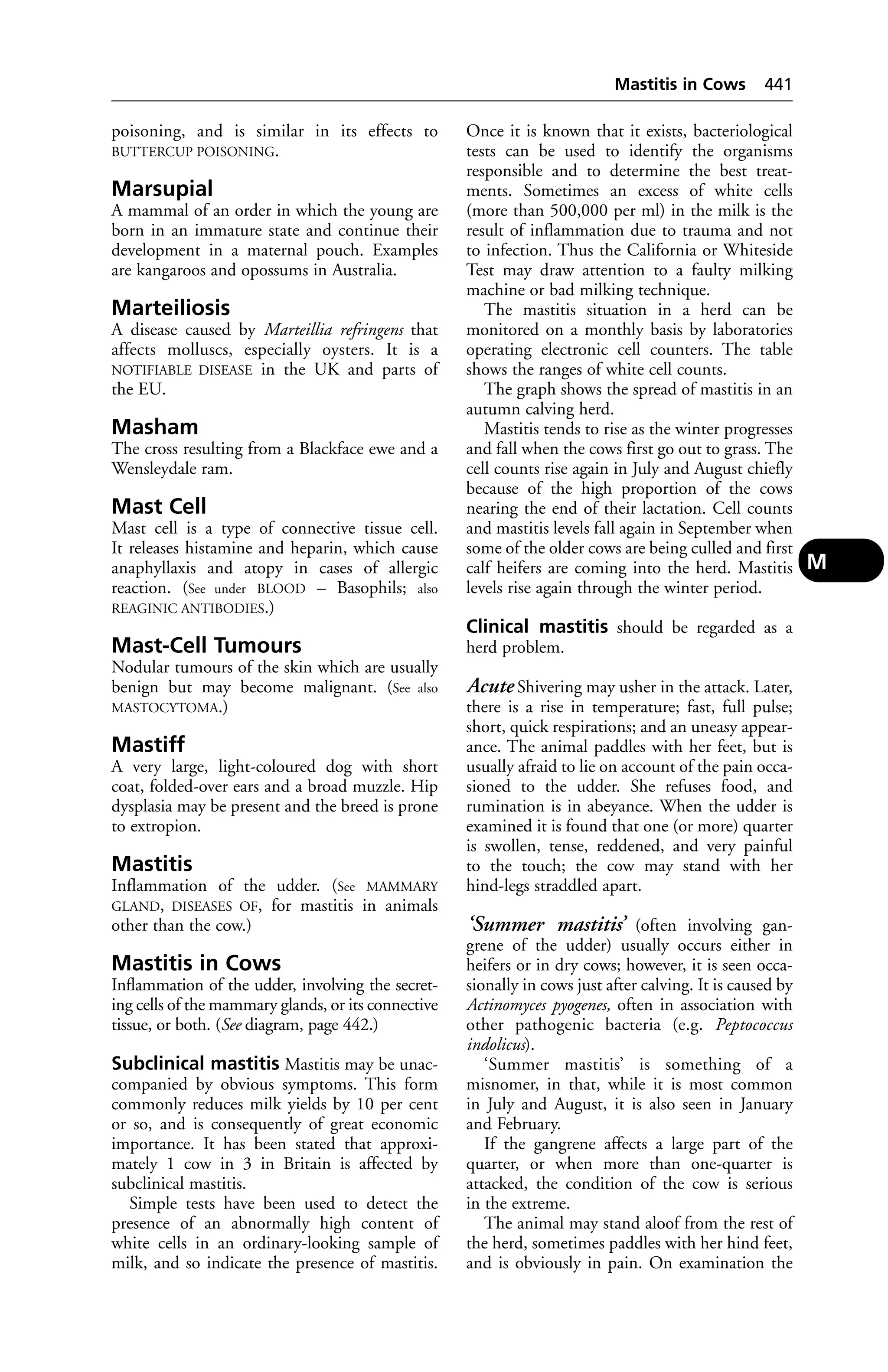 Veterinary dictionary _21st_edition