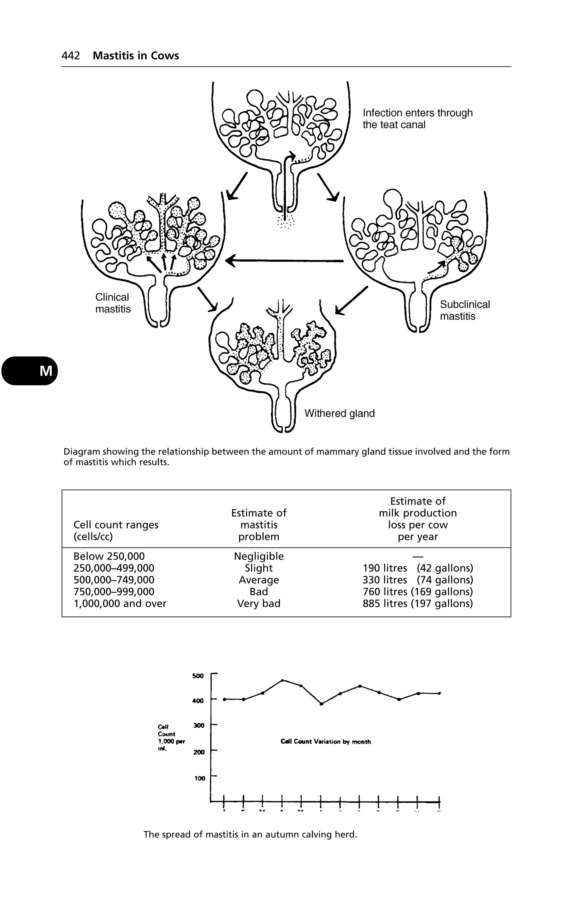 Veterinary dictionary _21st_edition