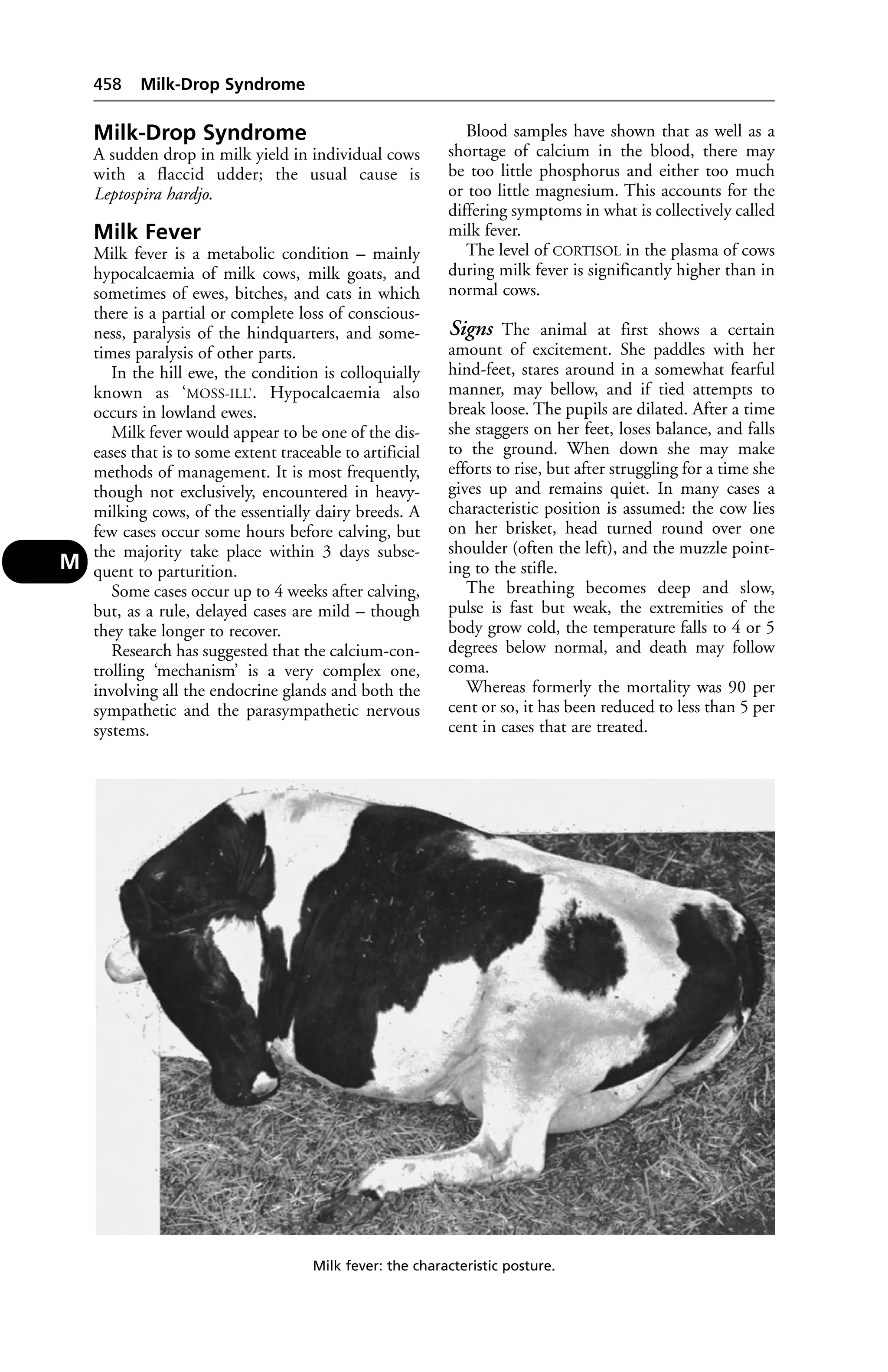 Veterinary dictionary _21st_edition