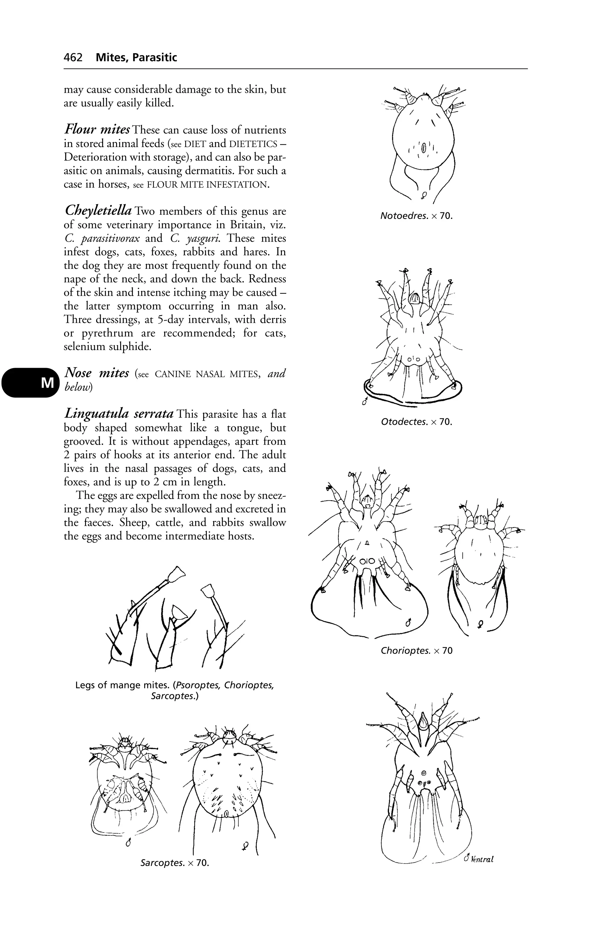 Veterinary dictionary _21st_edition