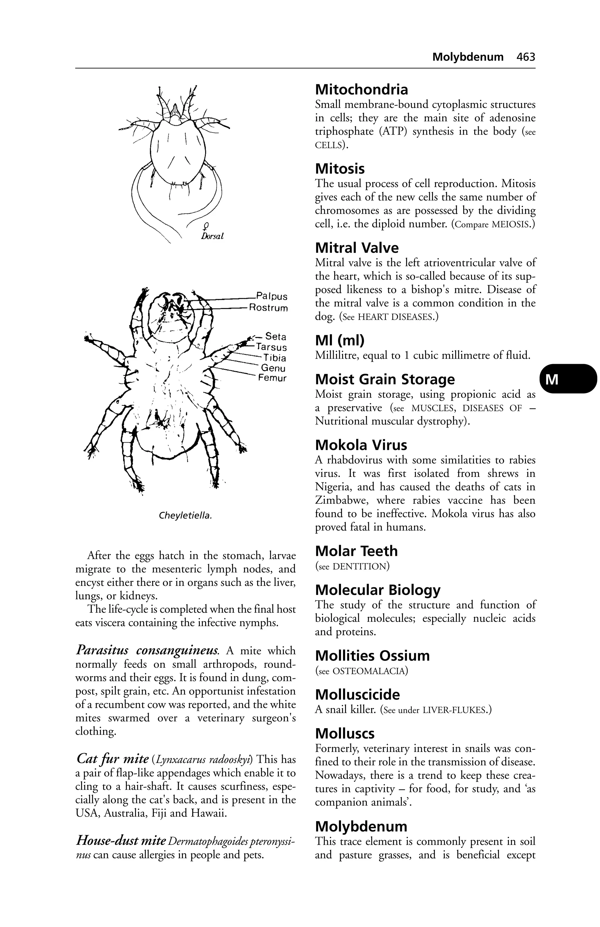 Veterinary dictionary _21st_edition