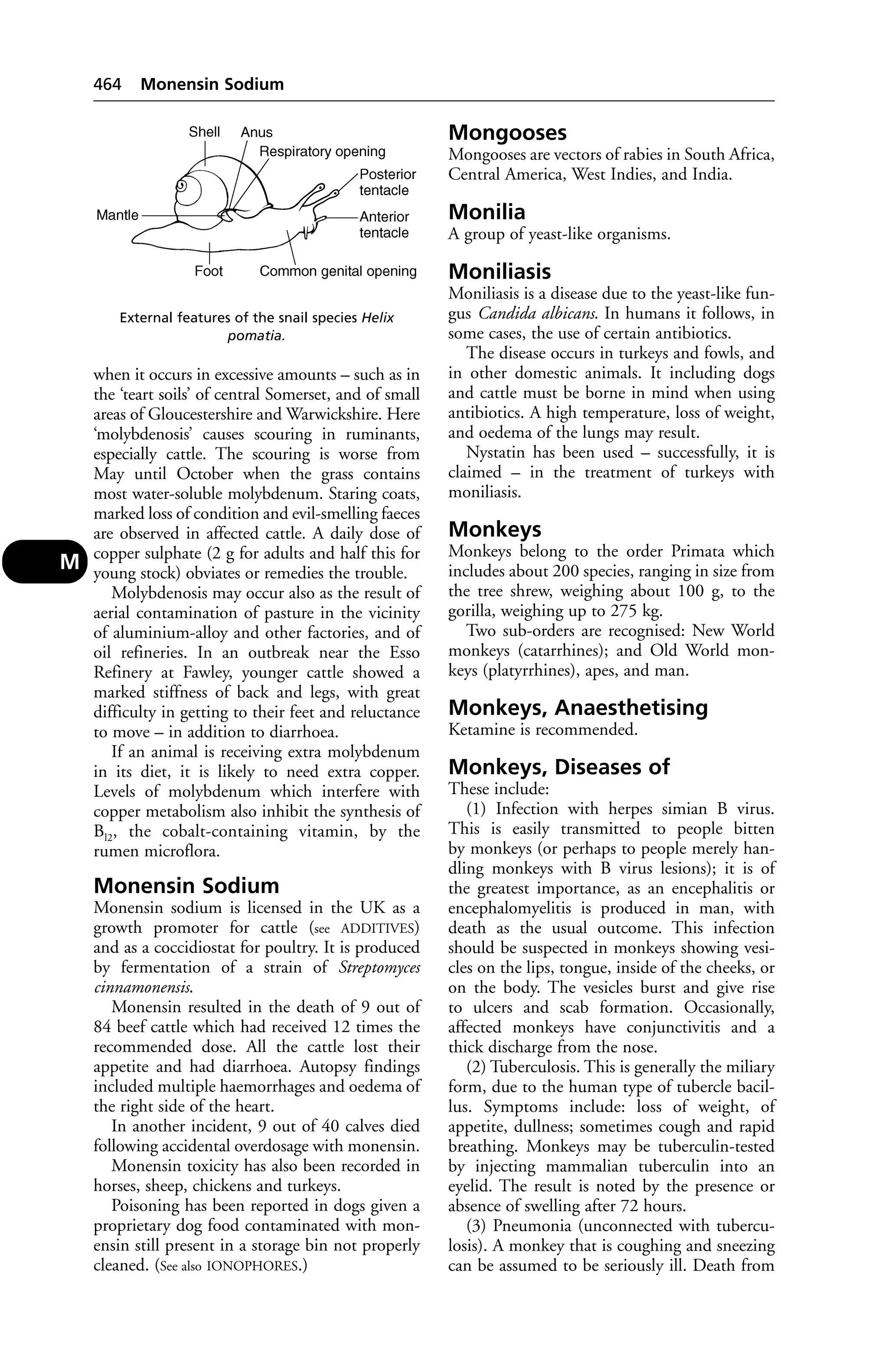 Veterinary dictionary _21st_edition