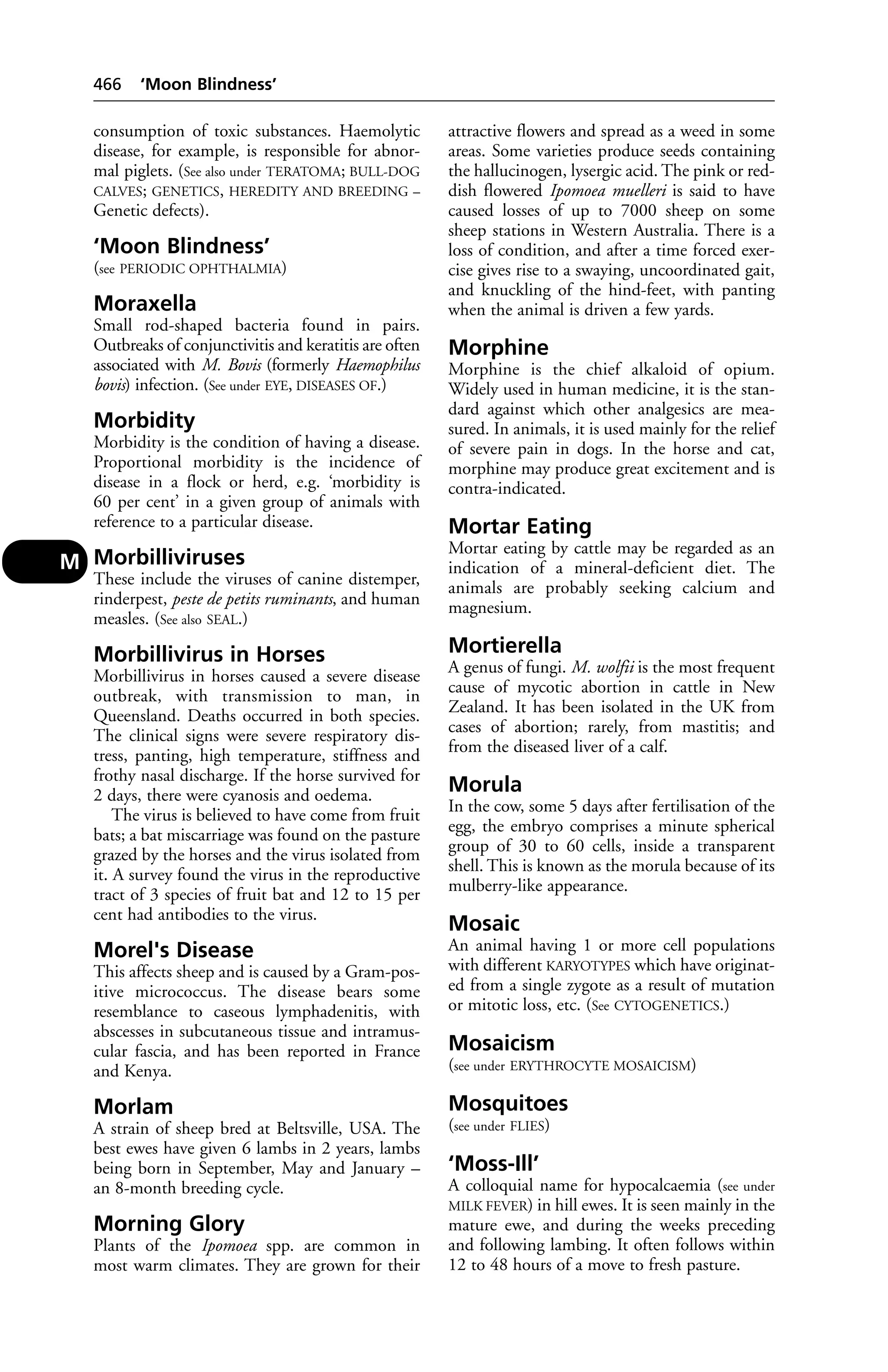 Veterinary dictionary _21st_edition