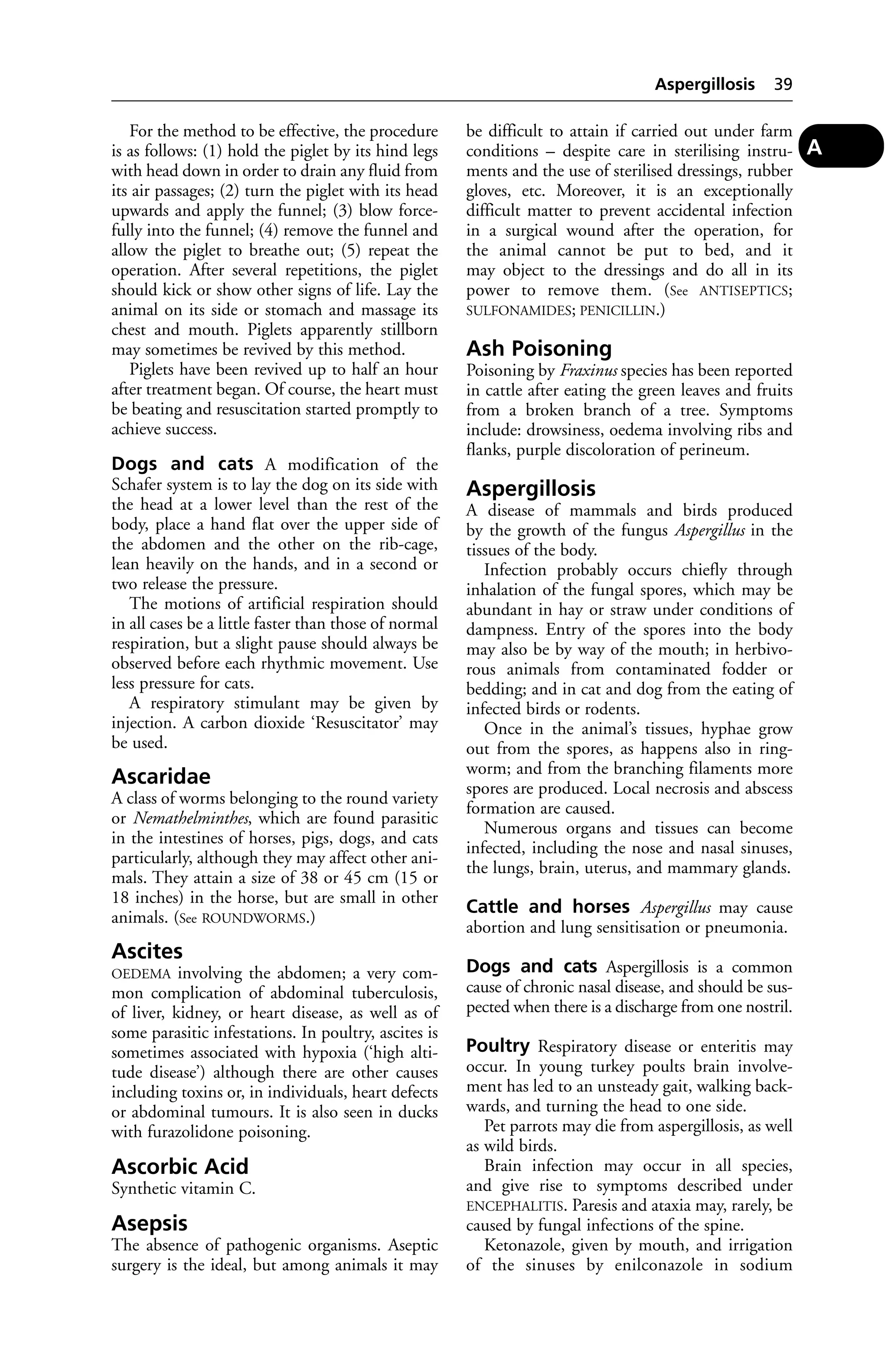 For the method to be effective, the procedure 
is as follows: (1) hold the piglet by its hind legs 
with head down in order to drain any fluid from 
its air passages; (2) turn the piglet with its head 
upwards and apply the funnel; (3) blow force-fully 
into the funnel; (4) remove the funnel and 
allow the piglet to breathe out; (5) repeat the 
operation. After several repetitions, the piglet 
should kick or show other signs of life. Lay the 
animal on its side or stomach and massage its 
chest and mouth. Piglets apparently stillborn 
may sometimes be revived by this method. 
Piglets have been revived up to half an hour 
after treatment began. Of course, the heart must 
be beating and resuscitation started promptly to 
achieve success. 
Dogs and cats A modification of the 
Schafer system is to lay the dog on its side with 
the head at a lower level than the rest of the 
body, place a hand flat over the upper side of 
the abdomen and the other on the rib-cage, 
lean heavily on the hands, and in a second or 
two release the pressure. 
The motions of artificial respiration should 
in all cases be a little faster than those of normal 
respiration, but a slight pause should always be 
observed before each rhythmic movement. Use 
less pressure for cats. 
A respiratory stimulant may be given by 
injection. A carbon dioxide ‘Resuscitator’ may 
be used. 
Ascaridae 
A class of worms belonging to the round variety 
or Nemathelminthes, which are found parasitic 
in the intestines of horses, pigs, dogs, and cats 
particularly, although they may affect other ani-mals. 
They attain a size of 38 or 45 cm (15 or 
18 inches) in the horse, but are small in other 
animals. (See ROUNDWORMS.) 
Ascites 
OEDEMA involving the abdomen; a very com-mon 
complication of abdominal tuberculosis, 
of liver, kidney, or heart disease, as well as of 
some parasitic infestations. In poultry, ascites is 
sometimes associated with hypoxia (‘high alti-tude 
disease’) although there are other causes 
including toxins or, in individuals, heart defects 
or abdominal tumours. It is also seen in ducks 
with furazolidone poisoning. 
Ascorbic Acid 
Synthetic vitamin C. 
Asepsis 
The absence of pathogenic organisms. Aseptic 
surgery is the ideal, but among animals it may 
Aspergillosis 39 
be difficult to attain if carried out under farm 
conditions – despite care in sterilising instru-ments 
and the use of sterilised dressings, rubber 
gloves, etc. Moreover, it is an exceptionally 
difficult matter to prevent accidental infection 
in a surgical wound after the operation, for 
the animal cannot be put to bed, and it 
may object to the dressings and do all in its 
power to remove them. (See ANTISEPTICS; 
SULFONAMIDES; PENICILLIN.) 
Ash Poisoning 
Poisoning by Fraxinus species has been reported 
in cattle after eating the green leaves and fruits 
from a broken branch of a tree. Symptoms 
include: drowsiness, oedema involving ribs and 
flanks, purple discoloration of perineum. 
Aspergillosis 
A disease of mammals and birds produced 
by the growth of the fungus Aspergillus in the 
tissues of the body. 
Infection probably occurs chiefly through 
inhalation of the fungal spores, which may be 
abundant in hay or straw under conditions of 
dampness. Entry of the spores into the body 
may also be by way of the mouth; in herbivo-rous 
animals from contaminated fodder or 
bedding; and in cat and dog from the eating of 
infected birds or rodents. 
Once in the animal’s tissues, hyphae grow 
out from the spores, as happens also in ring-worm; 
and from the branching filaments more 
spores are produced. Local necrosis and abscess 
formation are caused. 
Numerous organs and tissues can become 
infected, including the nose and nasal sinuses, 
the lungs, brain, uterus, and mammary glands. 
Cattle and horses Aspergillus may cause 
abortion and lung sensitisation or pneumonia. 
Dogs and cats Aspergillosis is a common 
cause of chronic nasal disease, and should be sus-pected 
when there is a discharge from one nostril. 
Poultry Respiratory disease or enteritis may 
occur. In young turkey poults brain involve-ment 
has led to an unsteady gait, walking back-wards, 
and turning the head to one side. 
Pet parrots may die from aspergillosis, as well 
as wild birds. 
Brain infection may occur in all species, 
and give rise to symptoms described under 
ENCEPHALITIS. Paresis and ataxia may, rarely, be 
caused by fungal infections of the spine. 
Ketonazole, given by mouth, and irrigation 
of the sinuses by enilconazole in sodium 
A 
 