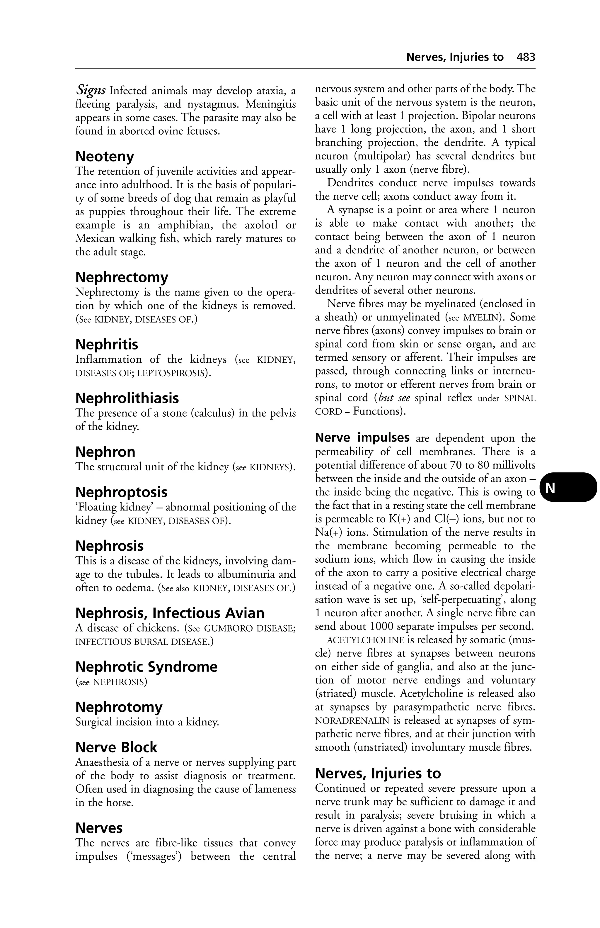 Veterinary dictionary _21st_edition