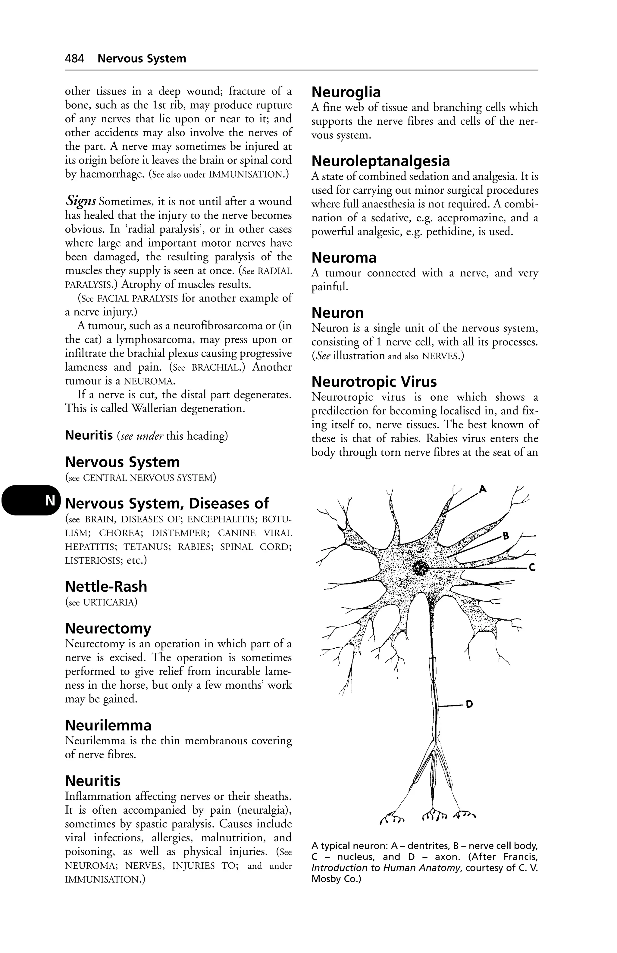 Veterinary dictionary _21st_edition