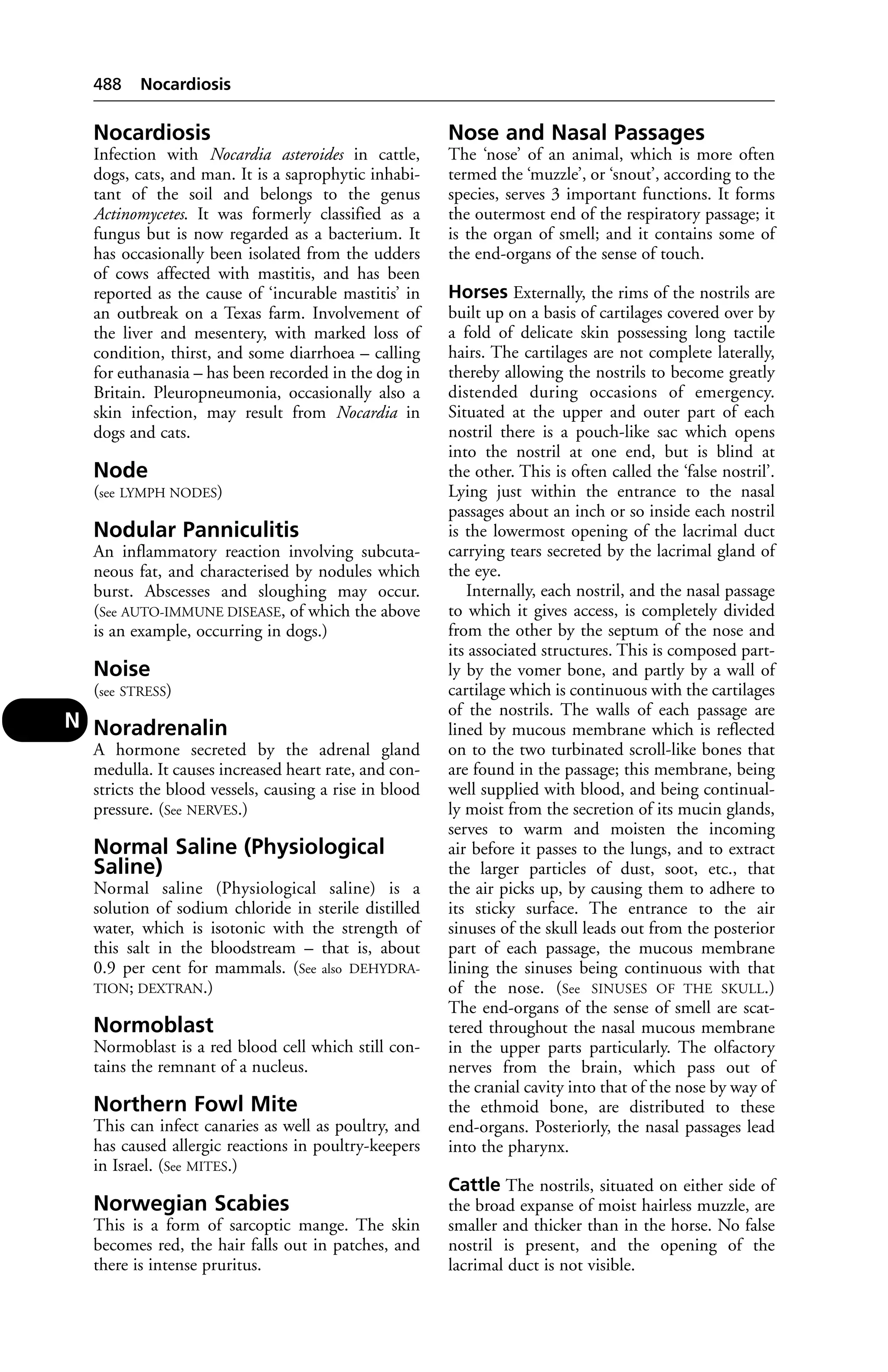 Veterinary dictionary _21st_edition