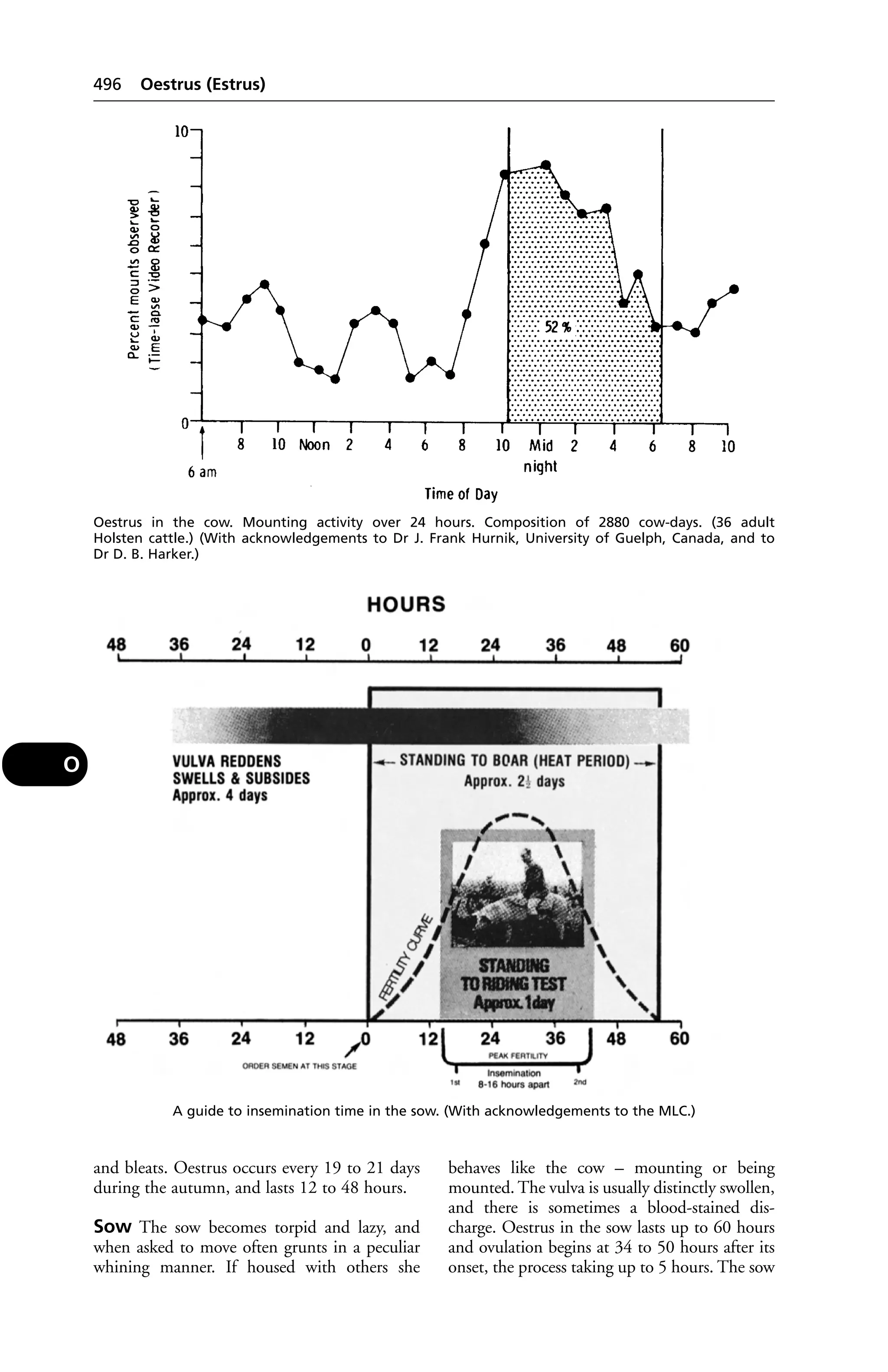 Veterinary dictionary _21st_edition