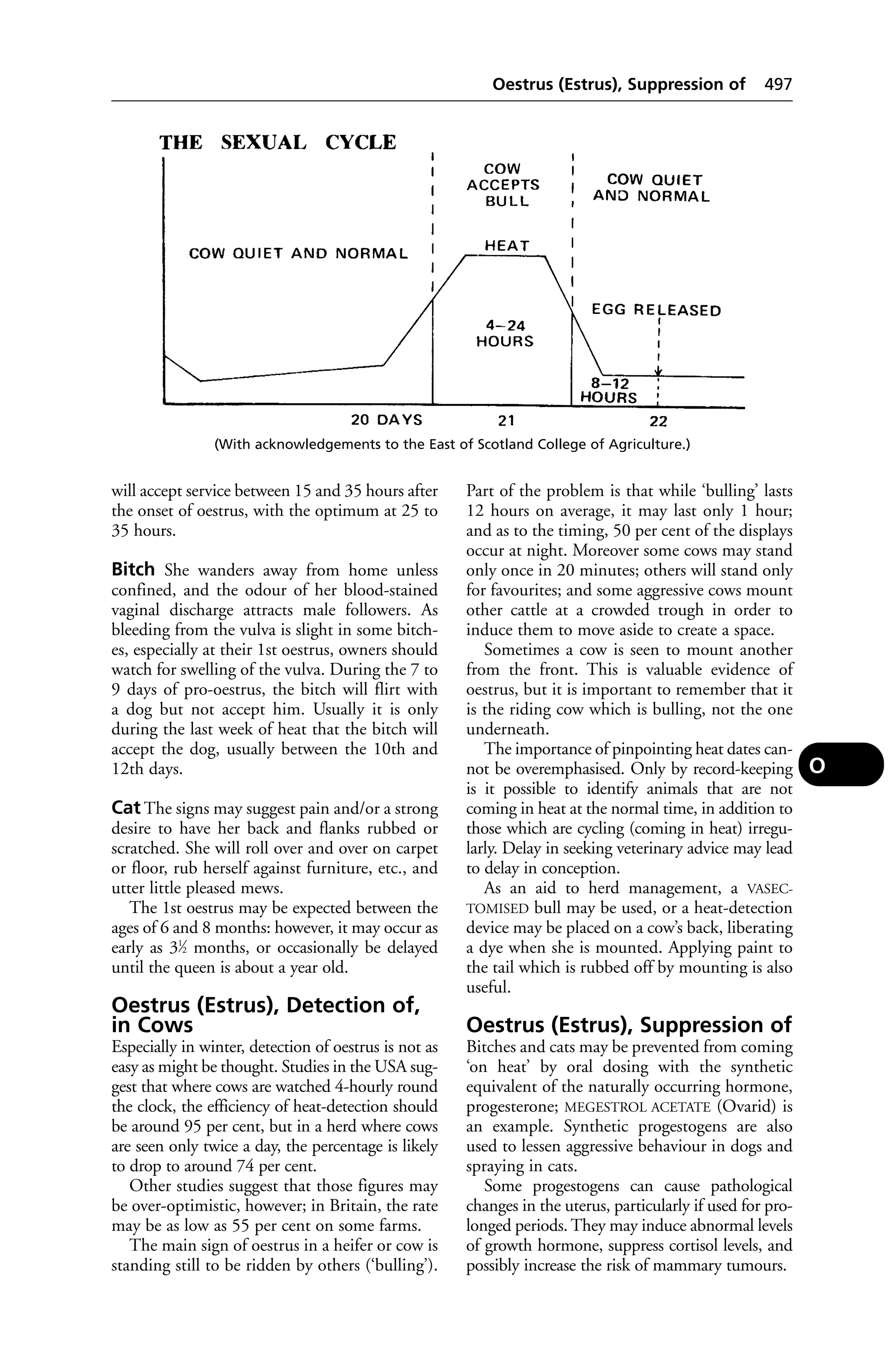 Veterinary dictionary _21st_edition