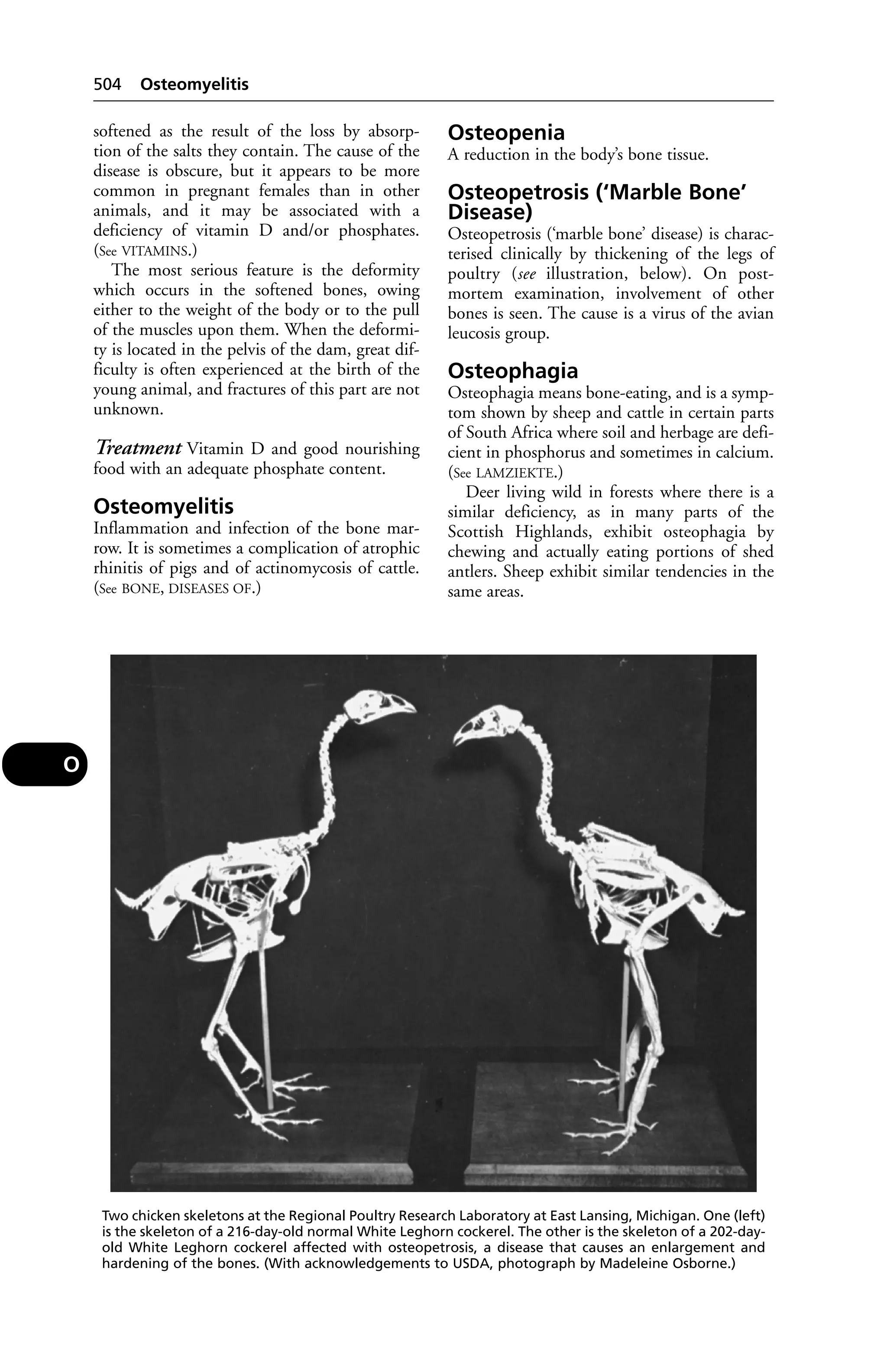 Veterinary dictionary _21st_edition