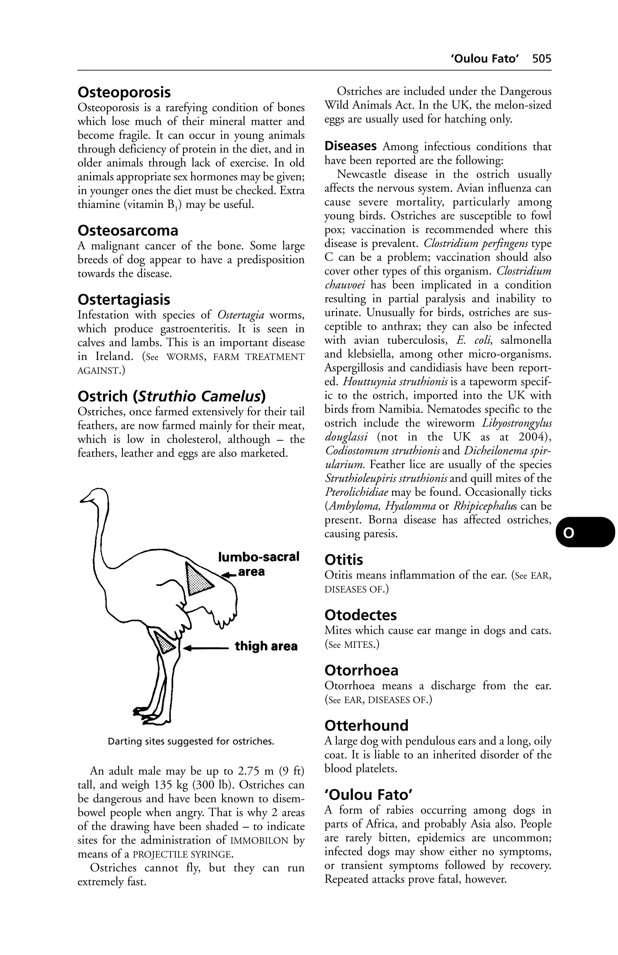 Veterinary dictionary _21st_edition
