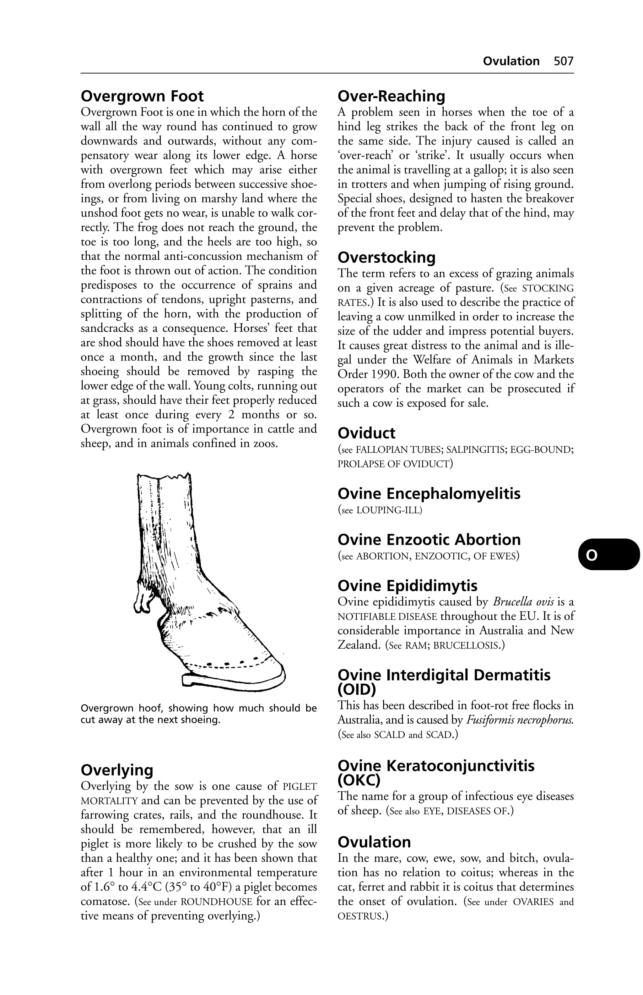 Veterinary dictionary _21st_edition