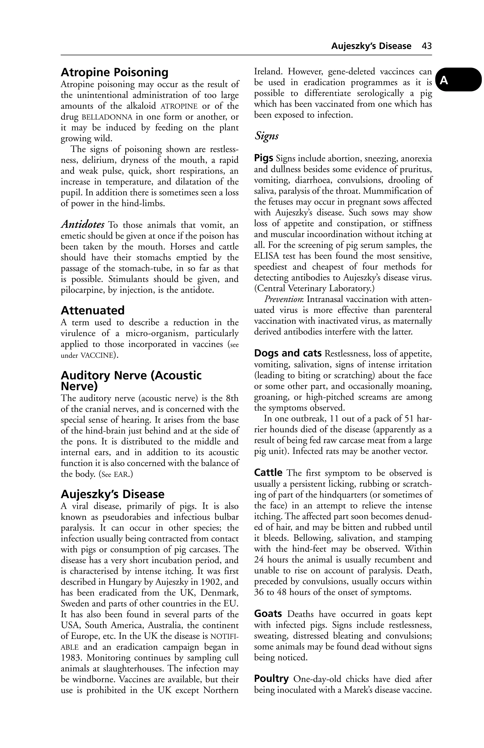 Atropine Poisoning 
Atropine poisoning may occur as the result of 
the unintentional administration of too large 
amounts of the alkaloid ATROPINE or of the 
drug BELLADONNA in one form or another, or 
it may be induced by feeding on the plant 
growing wild. 
The signs of poisoning shown are restless-ness, 
delirium, dryness of the mouth, a rapid 
and weak pulse, quick, short respirations, an 
increase in temperature, and dilatation of the 
pupil. In addition there is sometimes seen a loss 
of power in the hind-limbs. 
Antidotes To those animals that vomit, an 
emetic should be given at once if the poison has 
been taken by the mouth. Horses and cattle 
should have their stomachs emptied by the 
passage of the stomach-tube, in so far as that 
is possible. Stimulants should be given, and 
pilocarpine, by injection, is the antidote. 
Attenuated 
A term used to describe a reduction in the 
virulence of a micro-organism, particularly 
applied to those incorporated in vaccines (see 
under VACCINE). 
Auditory Nerve (Acoustic 
Nerve) 
The auditory nerve (acoustic nerve) is the 8th 
of the cranial nerves, and is concerned with the 
special sense of hearing. It arises from the base 
of the hind-brain just behind and at the side of 
the pons. It is distributed to the middle and 
internal ears, and in addition to its acoustic 
function it is also concerned with the balance of 
the body. (See EAR.) 
Aujeszky’s Disease 
A viral disease, primarily of pigs. It is also 
known as pseudorabies and infectious bulbar 
paralysis. It can occur in other species; the 
infection usually being contracted from contact 
with pigs or consumption of pig carcases. The 
disease has a very short incubation period, and 
is characterised by intense itching. It was first 
described in Hungary by Aujeszky in 1902, and 
has been eradicated from the UK, Denmark, 
Sweden and parts of other countries in the EU. 
It has also been found in several parts of the 
USA, South America, Australia, the continent 
of Europe, etc. In the UK the disease is NOTIFI-ABLE 
and an eradication campaign began in 
1983. Monitoring continues by sampling cull 
animals at slaughterhouses. The infection may 
be windborne. Vaccines are available, but their 
use is prohibited in the UK except Northern 
Aujeszky’s Disease 43 
Ireland. However, gene-deleted vaccinces can 
be used in eradication programmes as it is 
possible to differentiate serologically a pig 
which has been vaccinated from one which has 
been exposed to infection. 
Signs 
Pigs Signs include abortion, sneezing, anorexia 
and dullness besides some evidence of pruritus, 
vomiting, diarrhoea, convulsions, drooling of 
saliva, paralysis of the throat. Mummification of 
the fetuses may occur in pregnant sows affected 
with Aujeszky’s disease. Such sows may show 
loss of appetite and constipation, or stiffness 
and muscular incoordination without itching at 
all. For the screening of pig serum samples, the 
ELISA test has been found the most sensitive, 
speediest and cheapest of four methods for 
detecting antibodies to Aujeszky’s disease virus. 
(Central Veterinary Laboratory.) 
Prevention: Intranasal vaccination with atten-uated 
virus is more effective than parenteral 
vaccination with inactivated virus, as maternally 
derived antibodies interfere with the latter. 
Dogs and cats Restlessness, loss of appetite, 
vomiting, salivation, signs of intense irritation 
(leading to biting or scratching) about the face 
or some other part, and occasionally moaning, 
groaning, or high-pitched screams are among 
the symptoms observed. 
In one outbreak, 11 out of a pack of 51 har-rier 
hounds died of the disease (apparently as a 
result of being fed raw carcase meat from a large 
pig unit). Infected rats may be another vector. 
Cattle The first symptom to be observed is 
usually a persistent licking, rubbing or scratch-ing 
of part of the hindquarters (or sometimes of 
the face) in an attempt to relieve the intense 
itching. The affected part soon becomes denud-ed 
of hair, and may be bitten and rubbed until 
it bleeds. Bellowing, salivation, and stamping 
with the hind-feet may be observed. Within 
24 hours the animal is usually recumbent and 
unable to rise on account of paralysis. Death, 
preceded by convulsions, usually occurs within 
36 to 48 hours of the onset of symptoms. 
Goats Deaths have occurred in goats kept 
with infected pigs. Signs include restlessness, 
sweating, distressed bleating and convulsions; 
some animals may be found dead without signs 
being noticed. 
Poultry One-day-old chicks have died after 
being inoculated with a Marek’s disease vaccine. 
A 
 