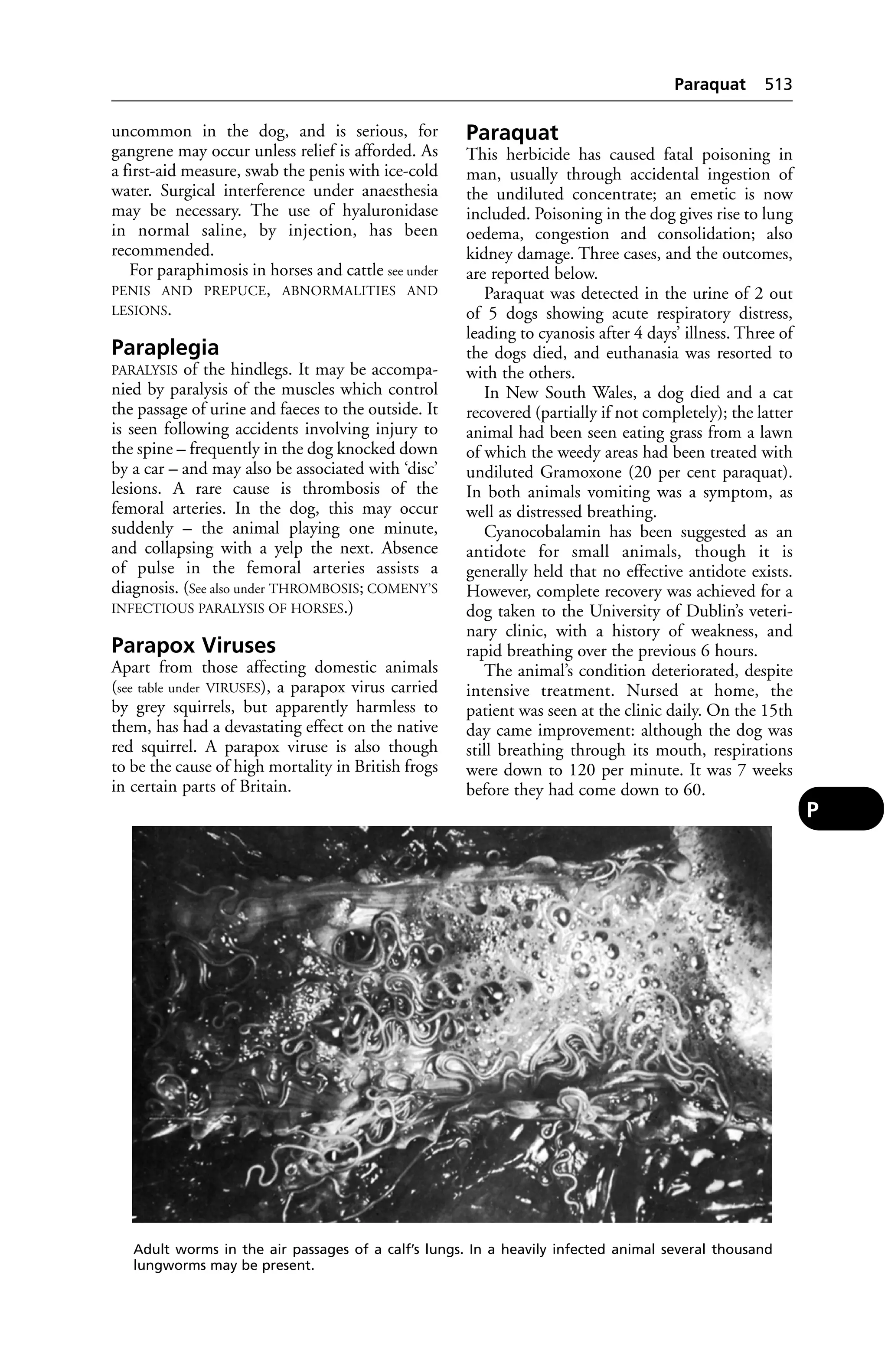 Veterinary dictionary _21st_edition