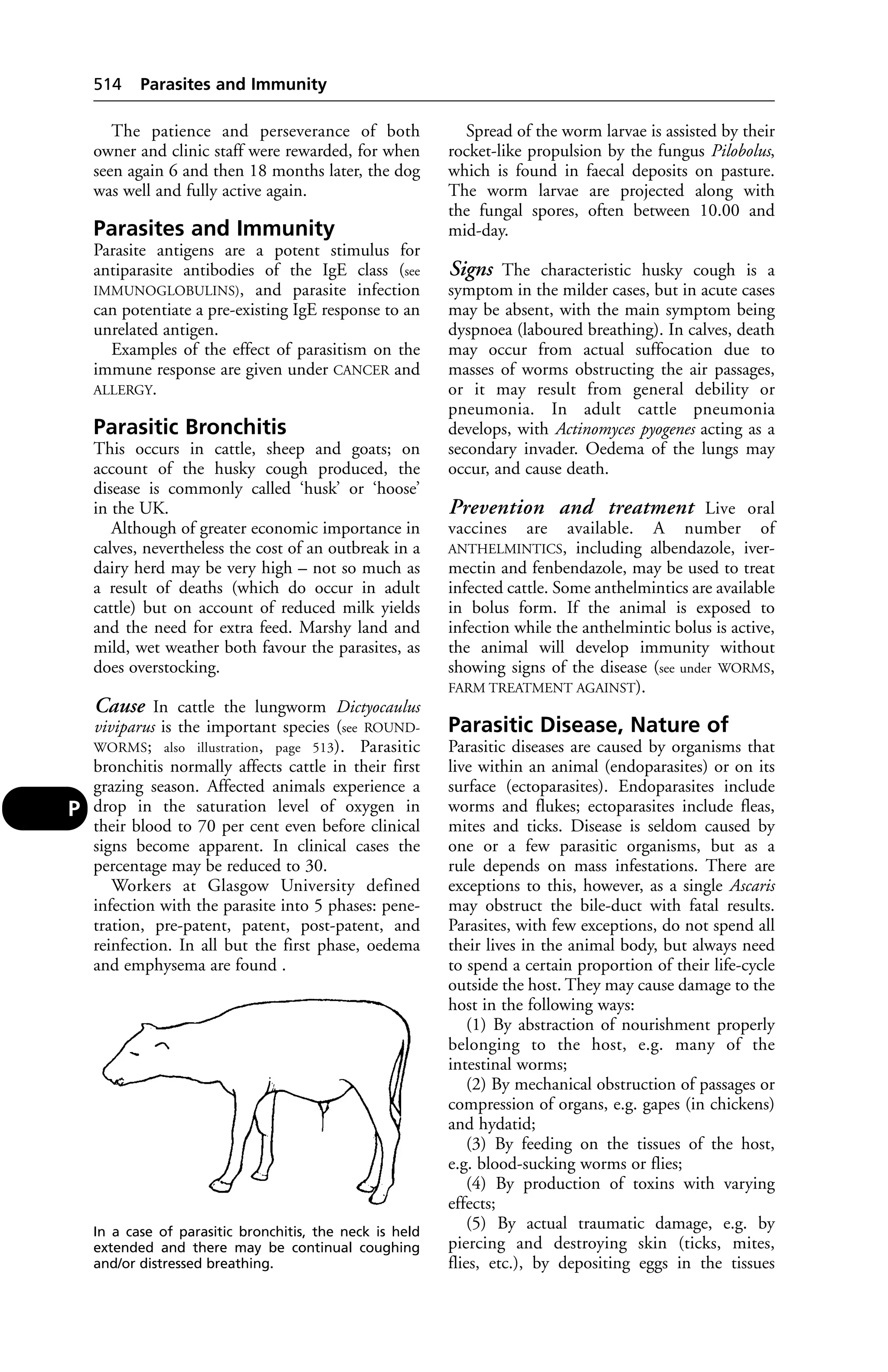Veterinary dictionary _21st_edition