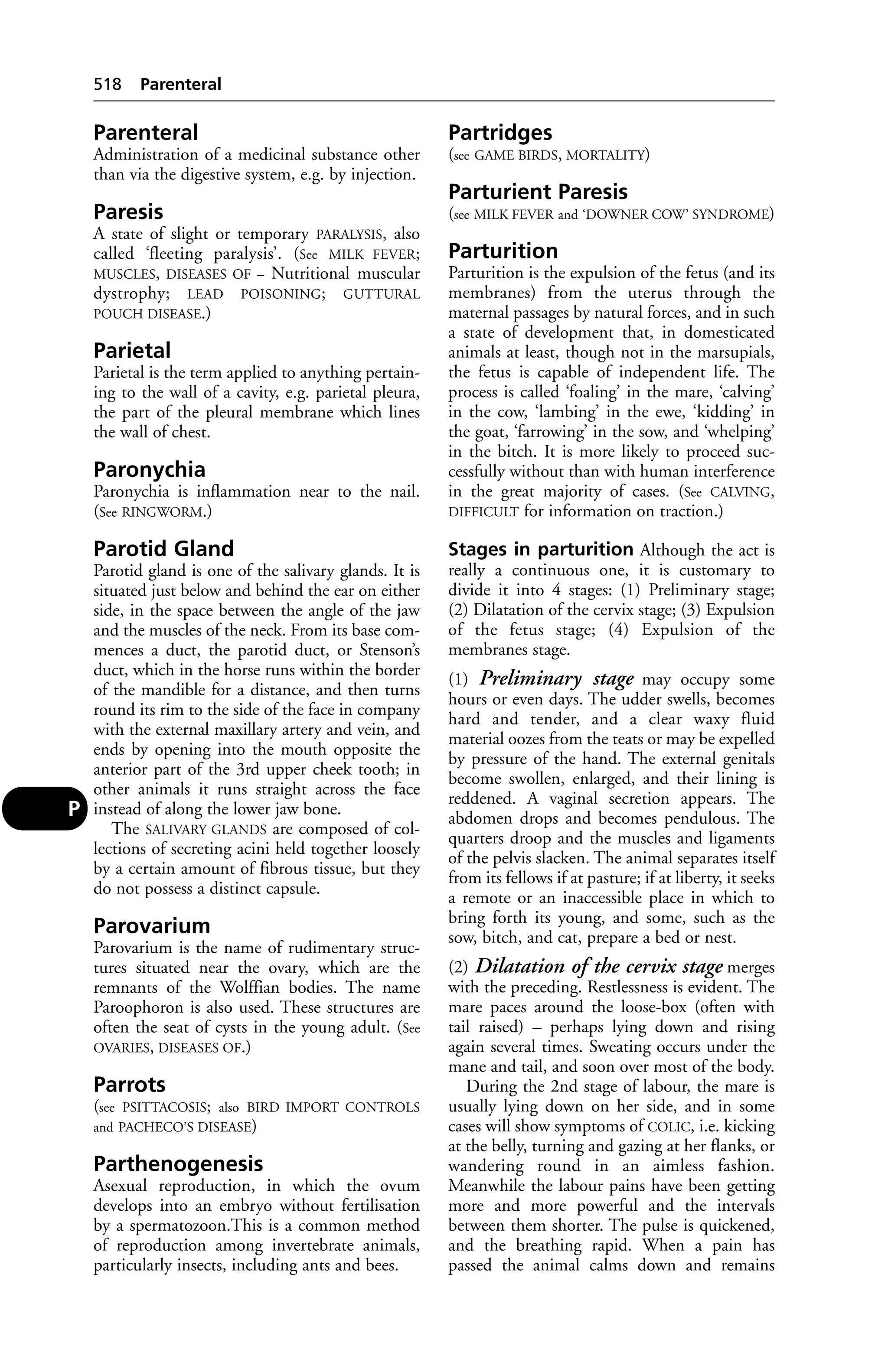 Veterinary dictionary _21st_edition