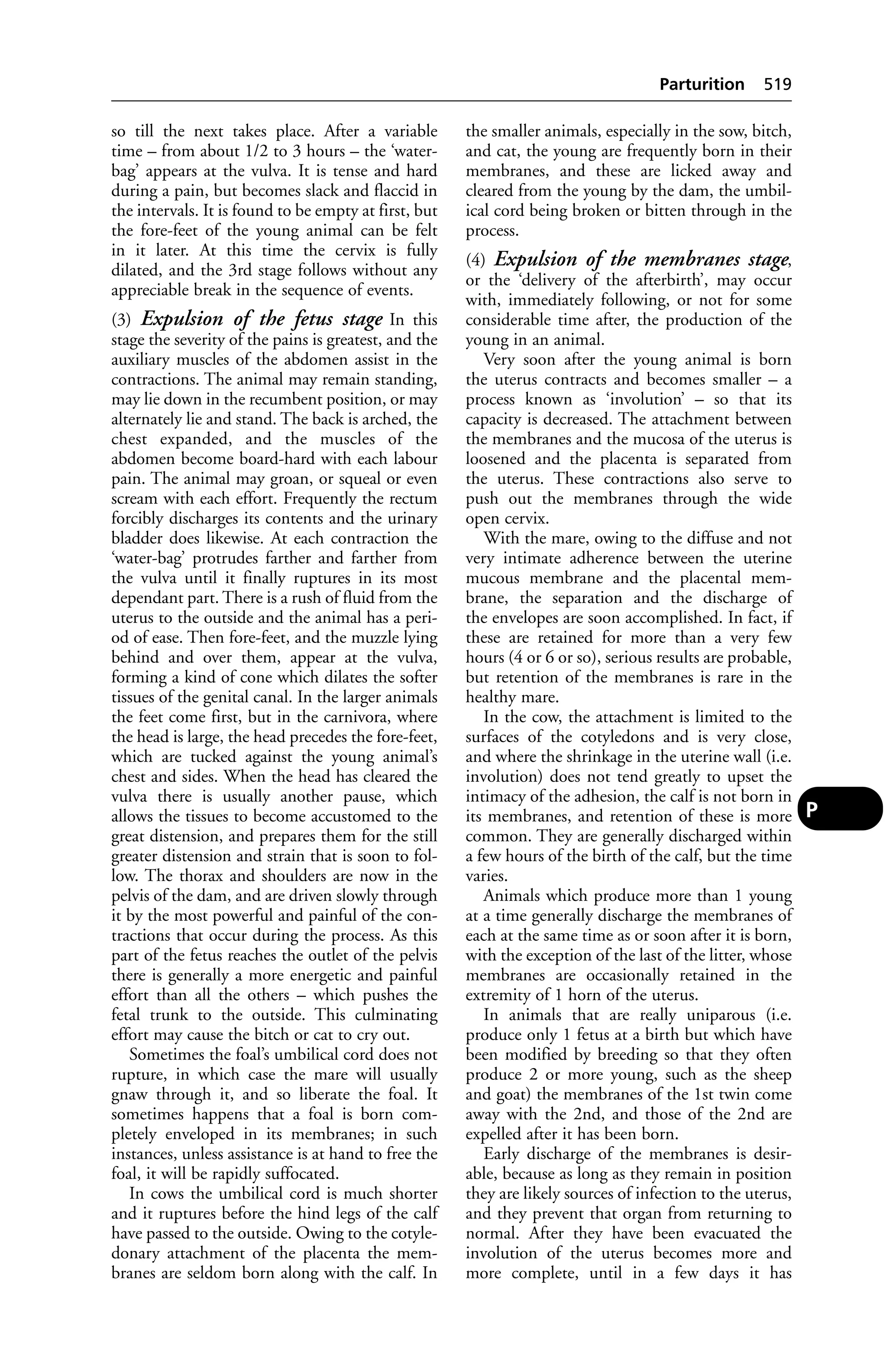 Veterinary dictionary _21st_edition