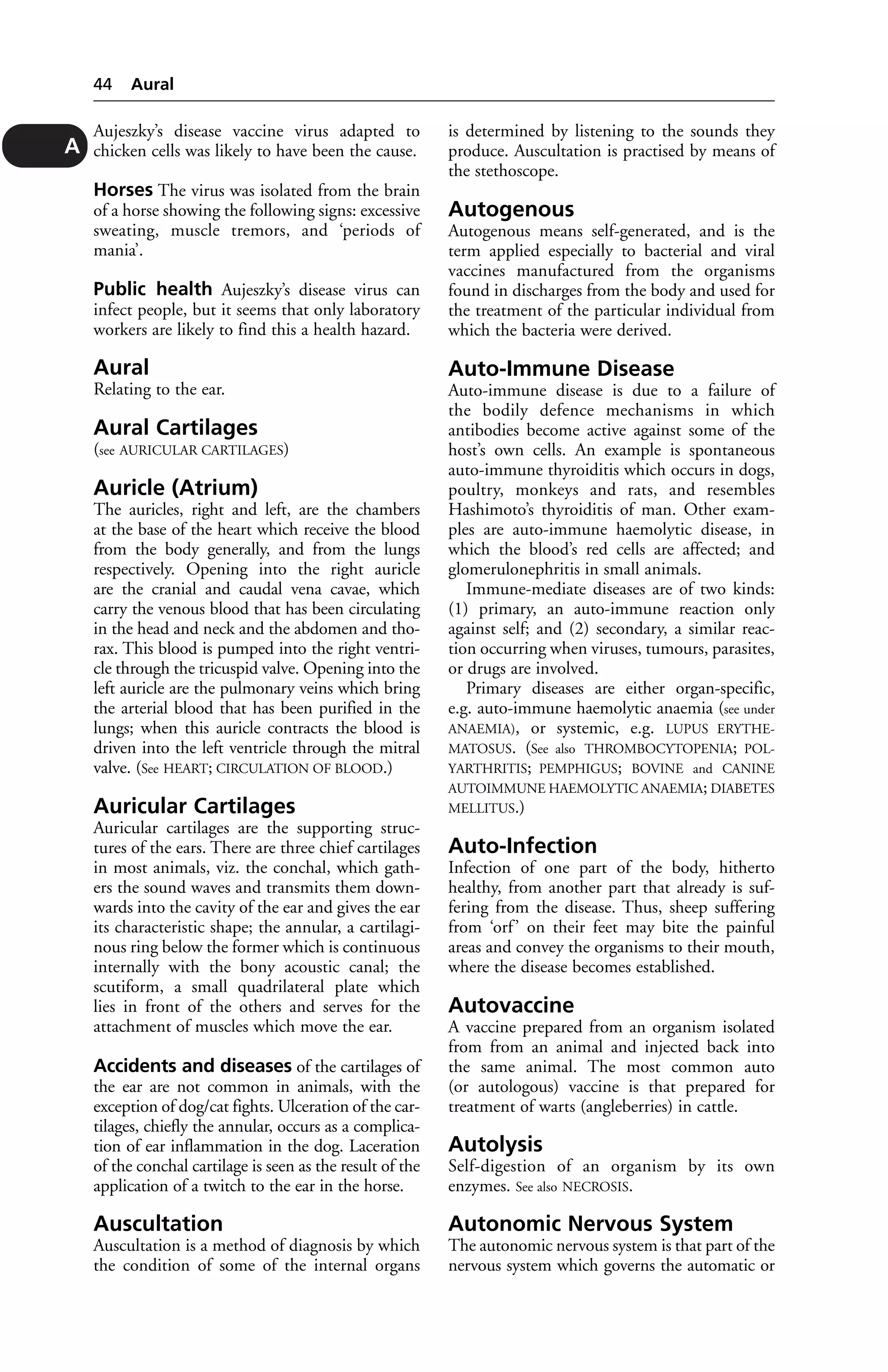 Aujeszky’s disease vaccine virus adapted to 
chicken cells was likely to have been the cause. 
Horses The virus was isolated from the brain 
of a horse showing the following signs: excessive 
sweating, muscle tremors, and ‘periods of 
mania’. 
Public health Aujeszky’s disease virus can 
infect people, but it seems that only laboratory 
workers are likely to find this a health hazard. 
Aural 
Relating to the ear. 
Aural Cartilages 
(see AURICULAR CARTILAGES) 
Auricle (Atrium) 
The auricles, right and left, are the chambers 
at the base of the heart which receive the blood 
from the body generally, and from the lungs 
respectively. Opening into the right auricle 
are the cranial and caudal vena cavae, which 
carry the venous blood that has been circulating 
in the head and neck and the abdomen and tho-rax. 
This blood is pumped into the right ventri-cle 
through the tricuspid valve. Opening into the 
left auricle are the pulmonary veins which bring 
the arterial blood that has been purified in the 
lungs; when this auricle contracts the blood is 
driven into the left ventricle through the mitral 
valve. (See HEART; CIRCULATION OF BLOOD.) 
Auricular Cartilages 
Auricular cartilages are the supporting struc-tures 
of the ears. There are three chief cartilages 
in most animals, viz. the conchal, which gath-ers 
the sound waves and transmits them down-wards 
into the cavity of the ear and gives the ear 
its characteristic shape; the annular, a cartilagi-nous 
ring below the former which is continuous 
internally with the bony acoustic canal; the 
scutiform, a small quadrilateral plate which 
lies in front of the others and serves for the 
attachment of muscles which move the ear. 
Accidents and diseases of the cartilages of 
the ear are not common in animals, with the 
exception of dog/cat fights. Ulceration of the car-tilages, 
chiefly the annular, occurs as a complica-tion 
of ear inflammation in the dog. Laceration 
of the conchal cartilage is seen as the result of the 
application of a twitch to the ear in the horse. 
Auscultation 
Auscultation is a method of diagnosis by which 
the condition of some of the internal organs 
is determined by listening to the sounds they 
produce. Auscultation is practised by means of 
the stethoscope. 
Autogenous 
Autogenous means self-generated, and is the 
term applied especially to bacterial and viral 
vaccines manufactured from the organisms 
found in discharges from the body and used for 
the treatment of the particular individual from 
which the bacteria were derived. 
Auto-Immune Disease 
Auto-immune disease is due to a failure of 
the bodily defence mechanisms in which 
antibodies become active against some of the 
host’s own cells. An example is spontaneous 
auto-immune thyroiditis which occurs in dogs, 
poultry, monkeys and rats, and resembles 
Hashimoto’s thyroiditis of man. Other exam-ples 
are auto-immune haemolytic disease, in 
which the blood’s red cells are affected; and 
glomerulonephritis in small animals. 
Immune-mediate diseases are of two kinds: 
(1) primary, an auto-immune reaction only 
against self; and (2) secondary, a similar reac-tion 
occurring when viruses, tumours, parasites, 
or drugs are involved. 
Primary diseases are either organ-specific, 
e.g. auto-immune haemolytic anaemia (see under 
ANAEMIA), or systemic, e.g. LUPUS ERYTHE-MATOSUS. 
(See also THROMBOCYTOPENIA; POL-YARTHRITIS; 
PEMPHIGUS; BOVINE and CANINE 
AUTOIMMUNE HAEMOLYTIC ANAEMIA; DIABETES 
MELLITUS.) 
Auto-Infection 
Infection of one part of the body, hitherto 
healthy, from another part that already is suf-fering 
from the disease. Thus, sheep suffering 
from ‘orf ’ on their feet may bite the painful 
areas and convey the organisms to their mouth, 
where the disease becomes established. 
Autovaccine 
A vaccine prepared from an organism isolated 
from from an animal and injected back into 
the same animal. The most common auto 
(or autologous) vaccine is that prepared for 
treatment of warts (angleberries) in cattle. 
Autolysis 
Self-digestion of an organism by its own 
enzymes. See also NECROSIS. 
Autonomic Nervous System 
The autonomic nervous system is that part of the 
nervous system which governs the automatic or 
44 Aural 
A 
 