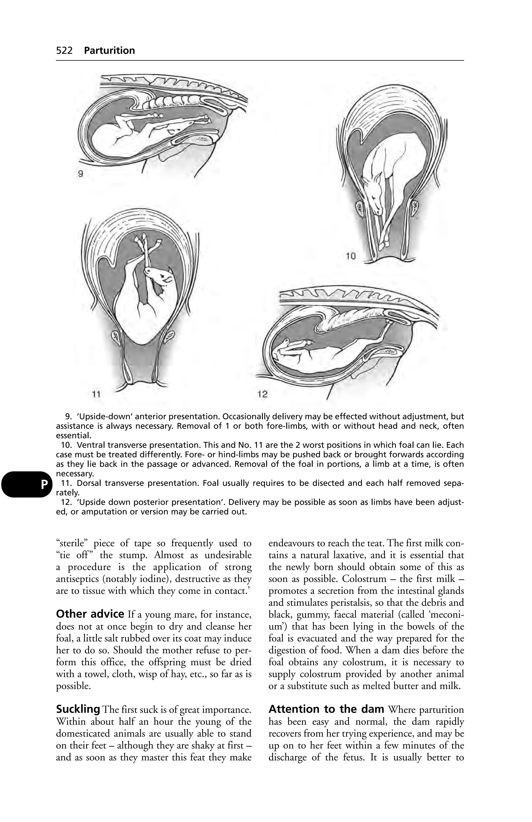Veterinary dictionary _21st_edition