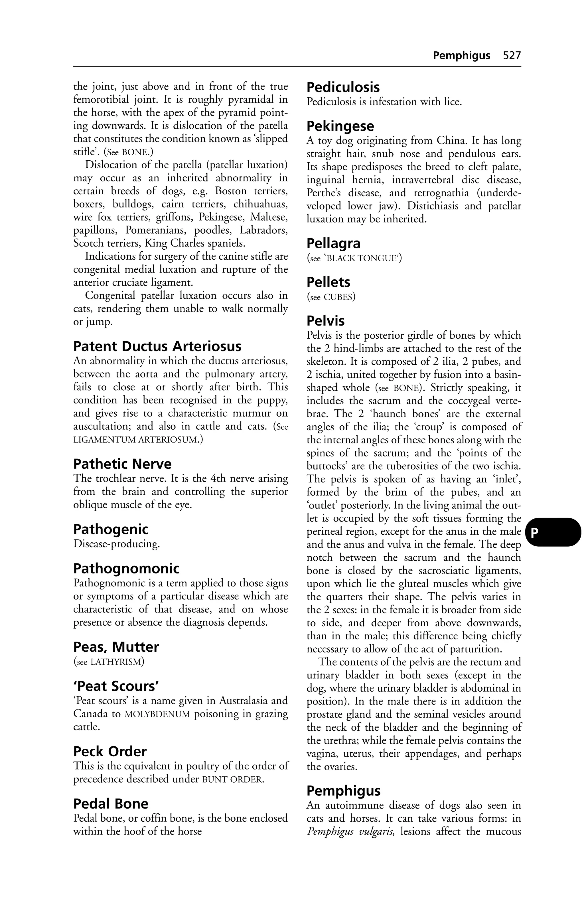 Veterinary dictionary _21st_edition