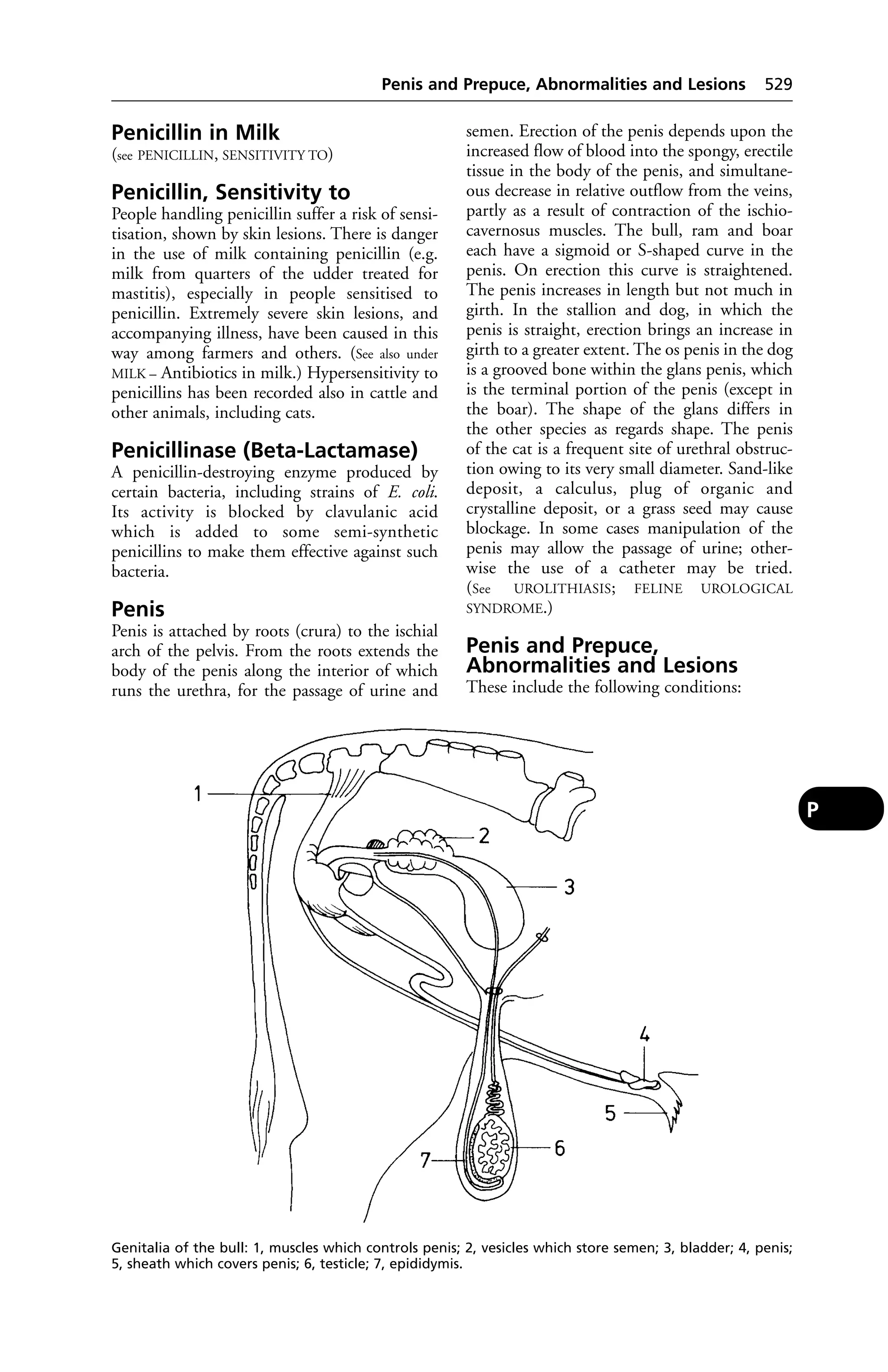 Veterinary dictionary _21st_edition