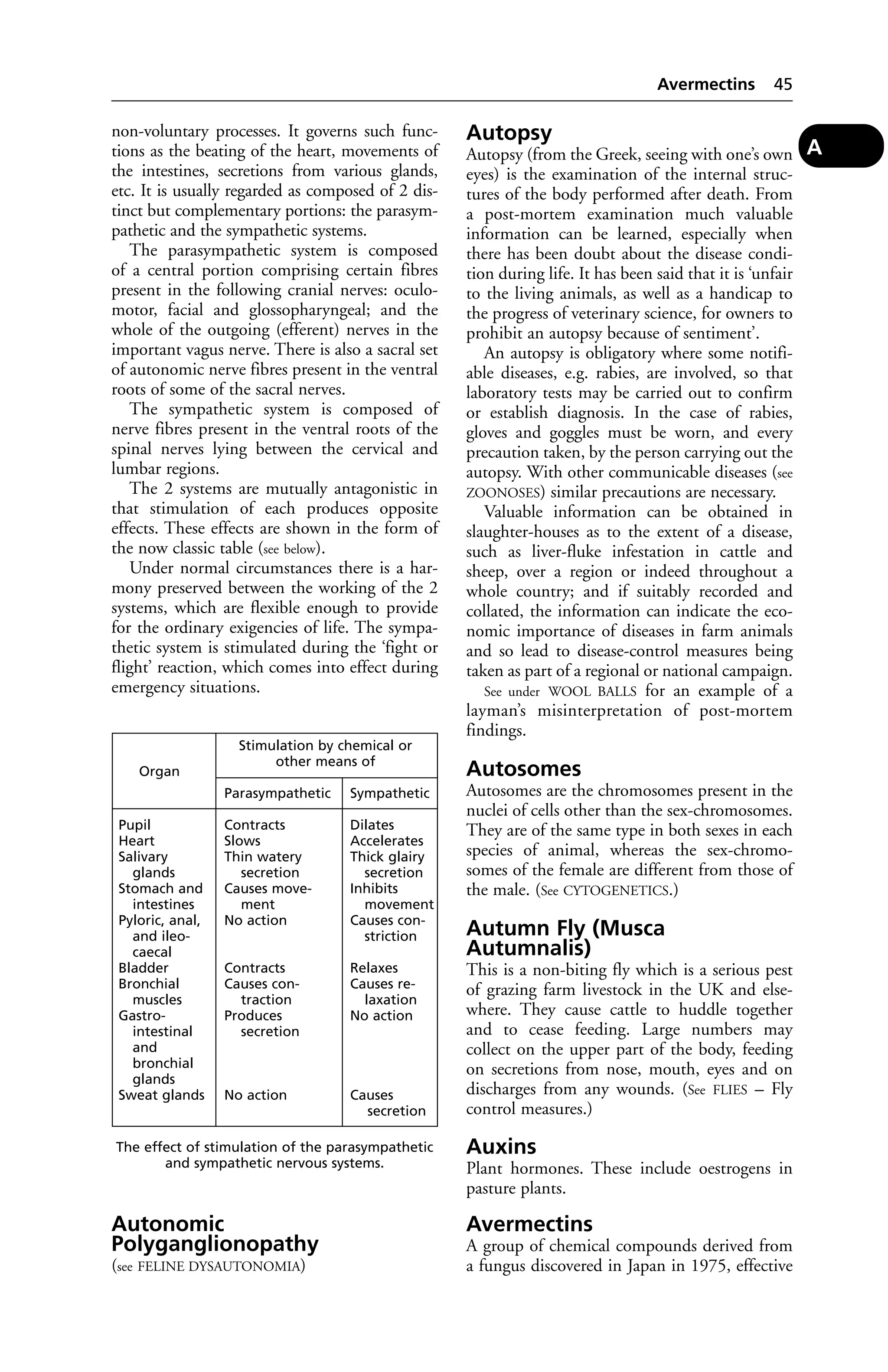 non-voluntary processes. It governs such func-tions 
as the beating of the heart, movements of 
the intestines, secretions from various glands, 
etc. It is usually regarded as composed of 2 dis-tinct 
but complementary portions: the parasym-pathetic 
and the sympathetic systems. 
The parasympathetic system is composed 
of a central portion comprising certain fibres 
present in the following cranial nerves: oculo-motor, 
facial and glossopharyngeal; and the 
whole of the outgoing (efferent) nerves in the 
important vagus nerve. There is also a sacral set 
of autonomic nerve fibres present in the ventral 
roots of some of the sacral nerves. 
The sympathetic system is composed of 
nerve fibres present in the ventral roots of the 
spinal nerves lying between the cervical and 
lumbar regions. 
The 2 systems are mutually antagonistic in 
that stimulation of each produces opposite 
effects. These effects are shown in the form of 
the now classic table (see below). 
Under normal circumstances there is a har-mony 
preserved between the working of the 2 
systems, which are flexible enough to provide 
for the ordinary exigencies of life. The sympa-thetic 
system is stimulated during the ‘fight or 
flight’ reaction, which comes into effect during 
emergency situations. 
Autonomic 
Polyganglionopathy 
(see FELINE DYSAUTONOMIA) 
Avermectins 45 
Autopsy 
Autopsy (from the Greek, seeing with one’s own 
eyes) is the examination of the internal struc-tures 
of the body performed after death. From 
a post-mortem examination much valuable 
information can be learned, especially when 
there has been doubt about the disease condi-tion 
during life. It has been said that it is ‘unfair 
to the living animals, as well as a handicap to 
the progress of veterinary science, for owners to 
prohibit an autopsy because of sentiment’. 
An autopsy is obligatory where some notifi-able 
diseases, e.g. rabies, are involved, so that 
laboratory tests may be carried out to confirm 
or establish diagnosis. In the case of rabies, 
gloves and goggles must be worn, and every 
precaution taken, by the person carrying out the 
autopsy. With other communicable diseases (see 
ZOONOSES) similar precautions are necessary. 
Valuable information can be obtained in 
slaughter-houses as to the extent of a disease, 
such as liver-fluke infestation in cattle and 
sheep, over a region or indeed throughout a 
whole country; and if suitably recorded and 
collated, the information can indicate the eco-nomic 
importance of diseases in farm animals 
and so lead to disease-control measures being 
taken as part of a regional or national campaign. 
See under WOOL BALLS for an example of a 
layman’s misinterpretation of post-mortem 
findings. 
Autosomes 
Autosomes are the chromosomes present in the 
nuclei of cells other than the sex-chromosomes. 
They are of the same type in both sexes in each 
species of animal, whereas the sex-chromo-somes 
of the female are different from those of 
the male. (See CYTOGENETICS.) 
Autumn Fly (Musca 
Autumnalis) 
This is a non-biting fly which is a serious pest 
of grazing farm livestock in the UK and else-where. 
They cause cattle to huddle together 
and to cease feeding. Large numbers may 
collect on the upper part of the body, feeding 
on secretions from nose, mouth, eyes and on 
discharges from any wounds. (See FLIES – Fly 
control measures.) 
Auxins 
Plant hormones. These include oestrogens in 
pasture plants. 
Avermectins 
A group of chemical compounds derived from 
a fungus discovered in Japan in 1975, effective 
A 
Stimulation by chemical or 
other means of 
Organ 
Parasympathetic Sympathetic 
Pupil Contracts Dilates 
Heart Slows Accelerates 
Salivary Thin watery Thick glairy 
glands secretion secretion 
Stomach and Causes move- Inhibits 
intestines ment movement 
Pyloric, anal, No action Causes con-and 
ileo- striction 
caecal 
Bladder Contracts Relaxes 
Bronchial Causes con- Causes re-muscles 
traction laxation 
Gastro- Produces No action 
intestinal secretion 
and 
bronchial 
glands 
Sweat glands No action Causes 
secretion 
The effect of stimulation of the parasympathetic 
and sympathetic nervous systems. 
 
