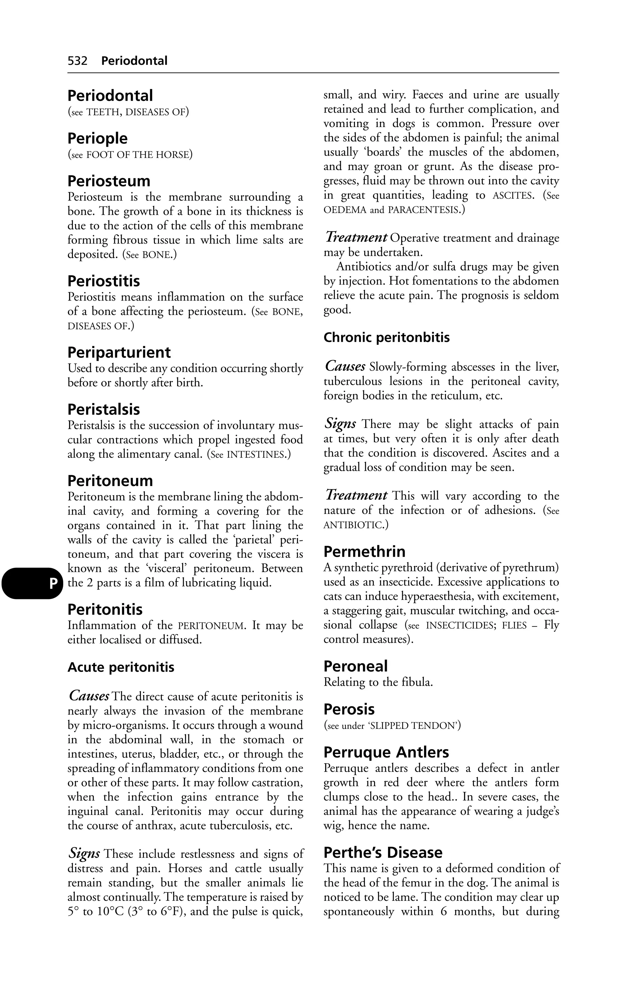 Veterinary dictionary _21st_edition