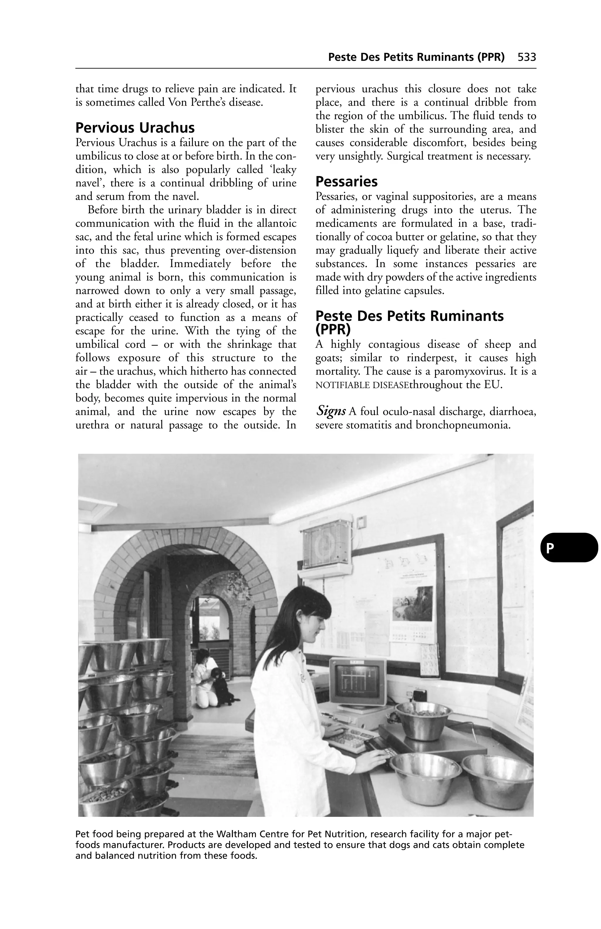 Veterinary dictionary _21st_edition