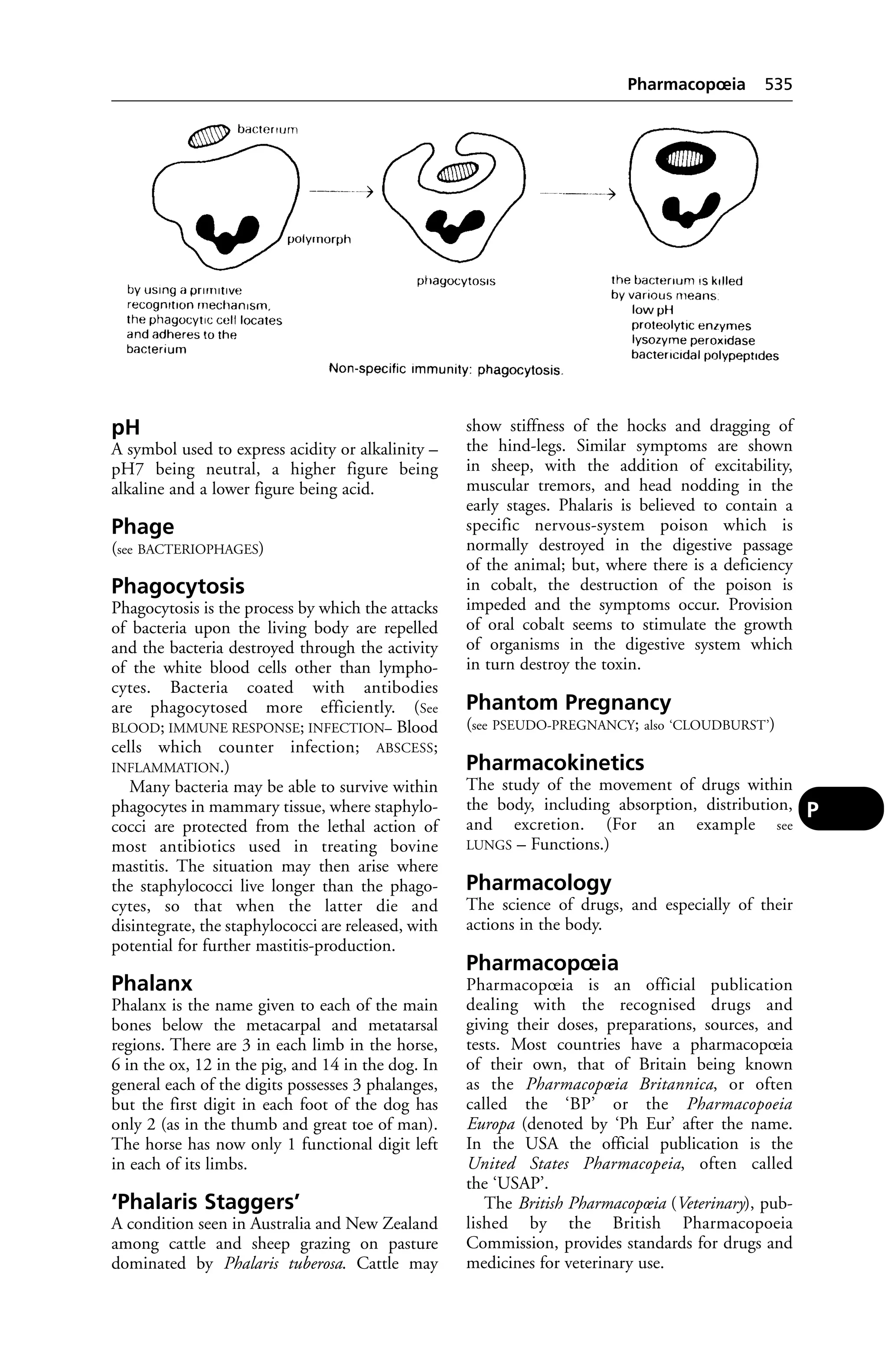 Veterinary dictionary _21st_edition