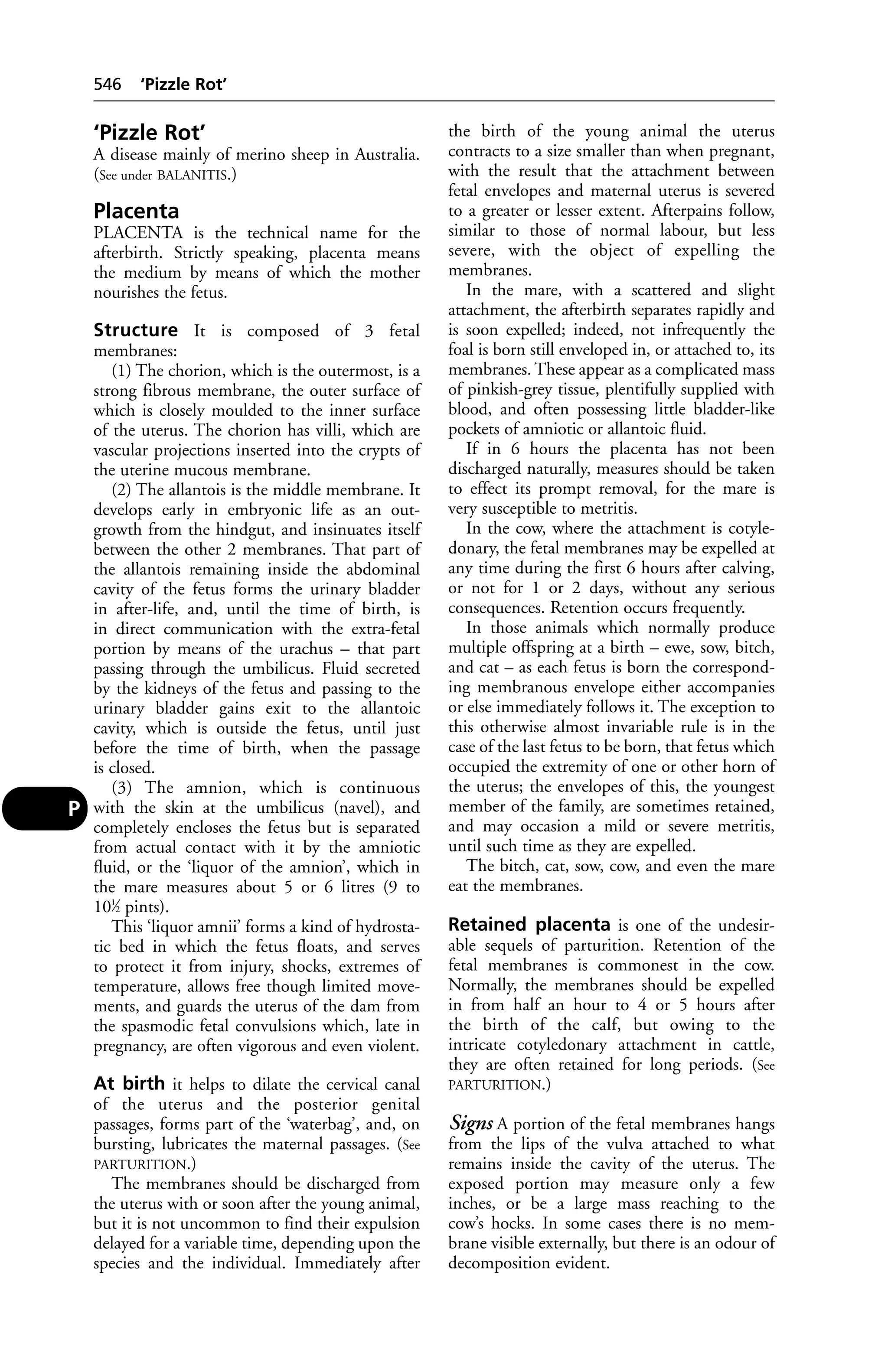 Veterinary dictionary _21st_edition