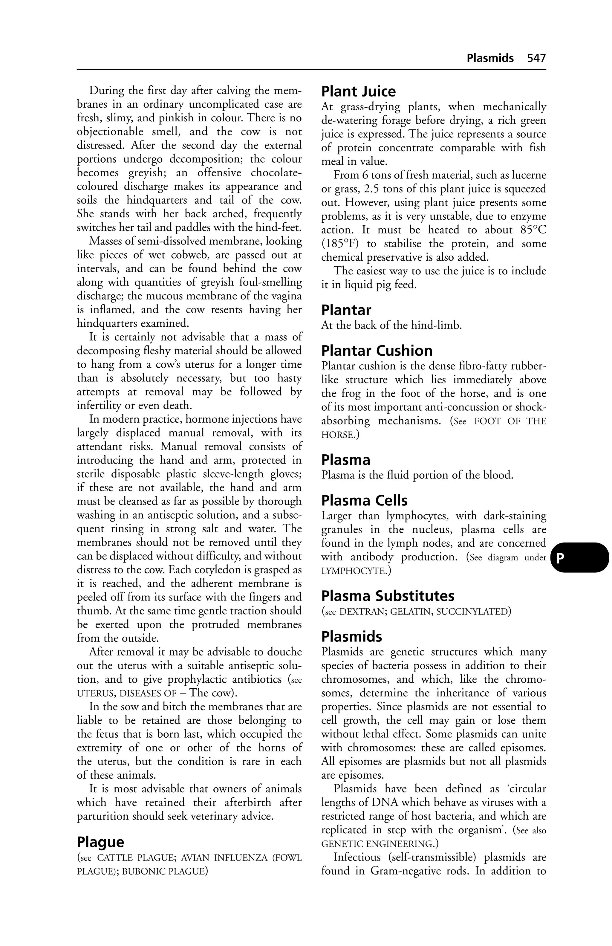 Veterinary dictionary _21st_edition