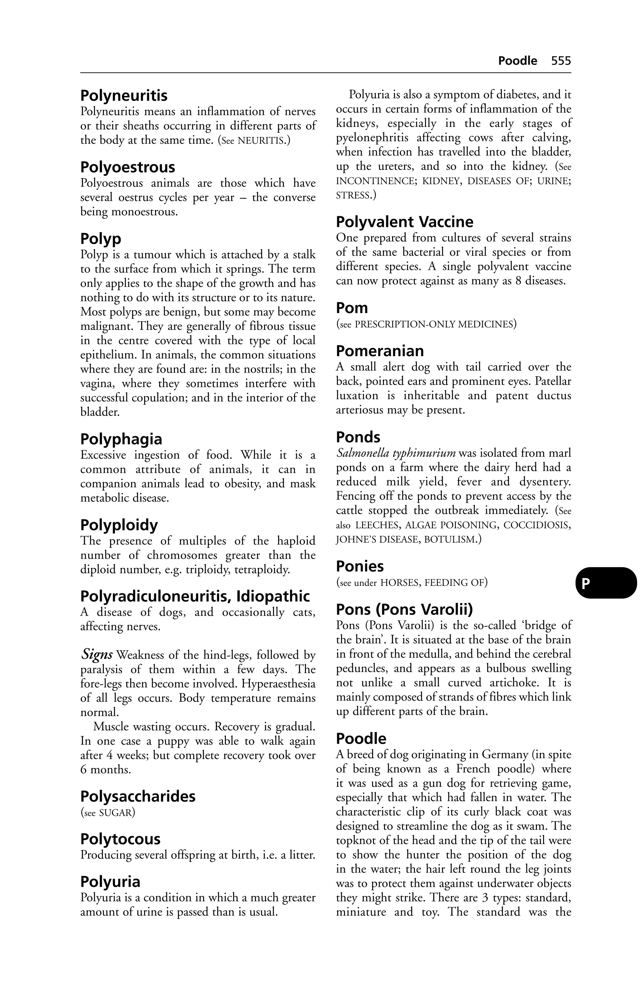 Veterinary dictionary _21st_edition