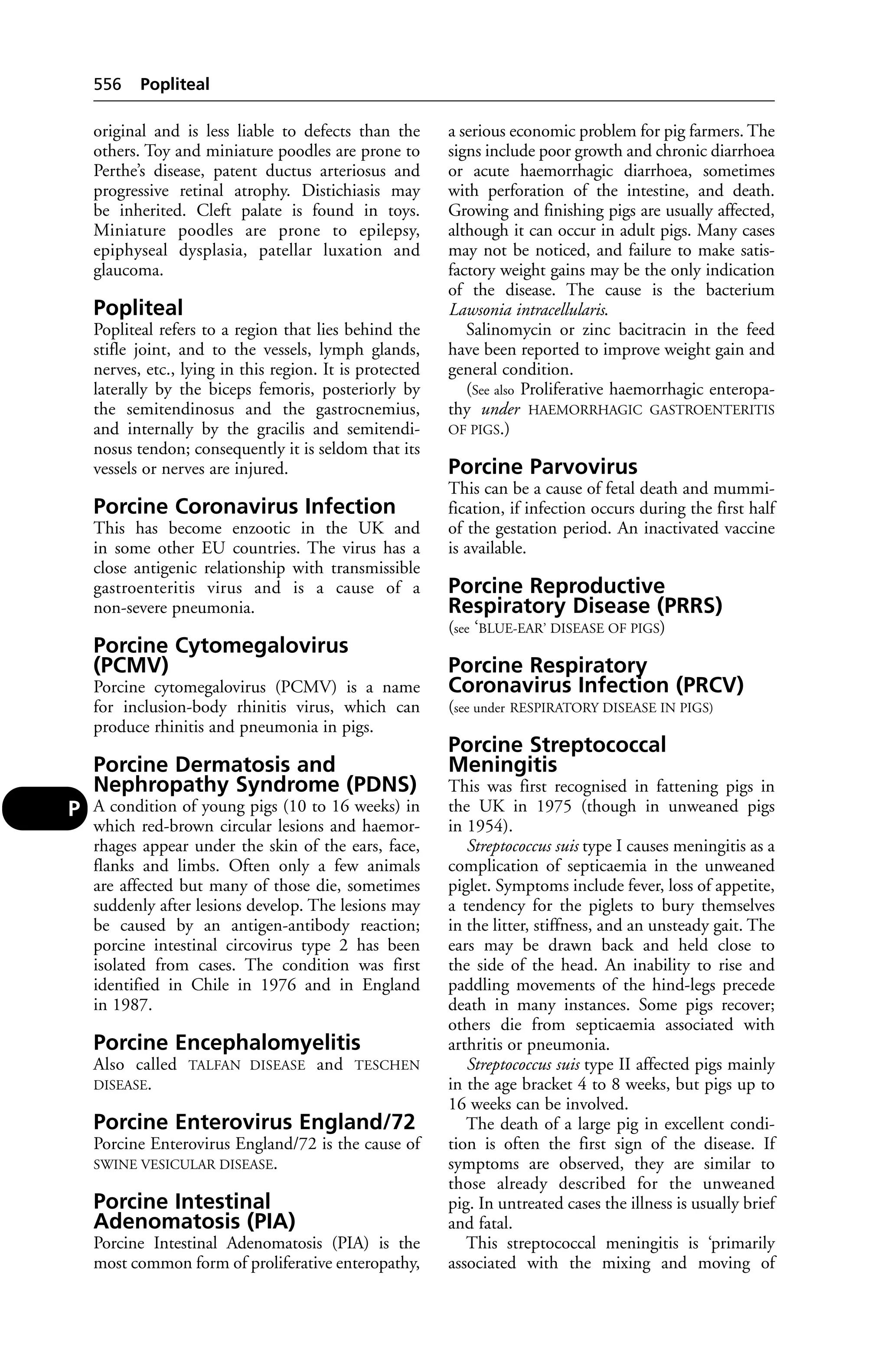 Veterinary dictionary _21st_edition