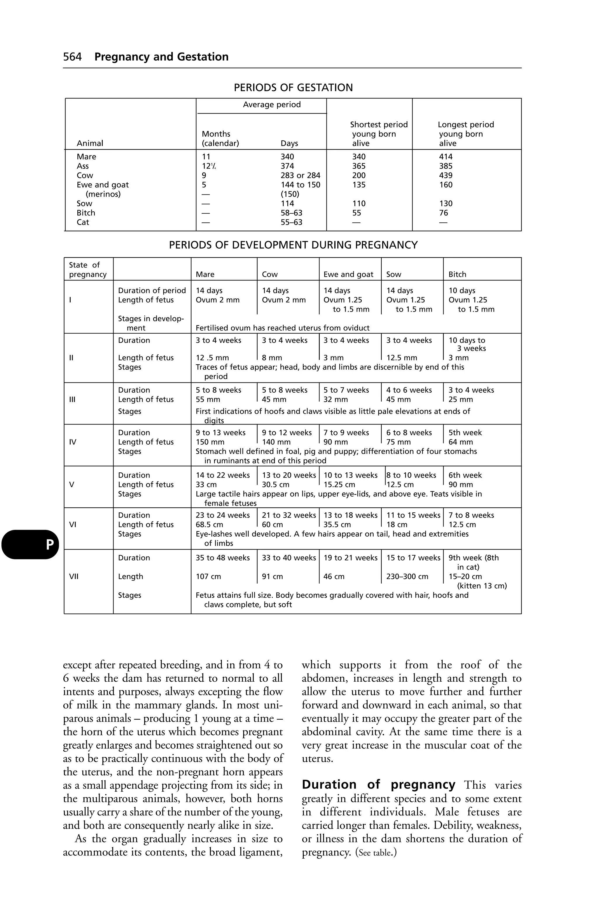 Veterinary dictionary _21st_edition