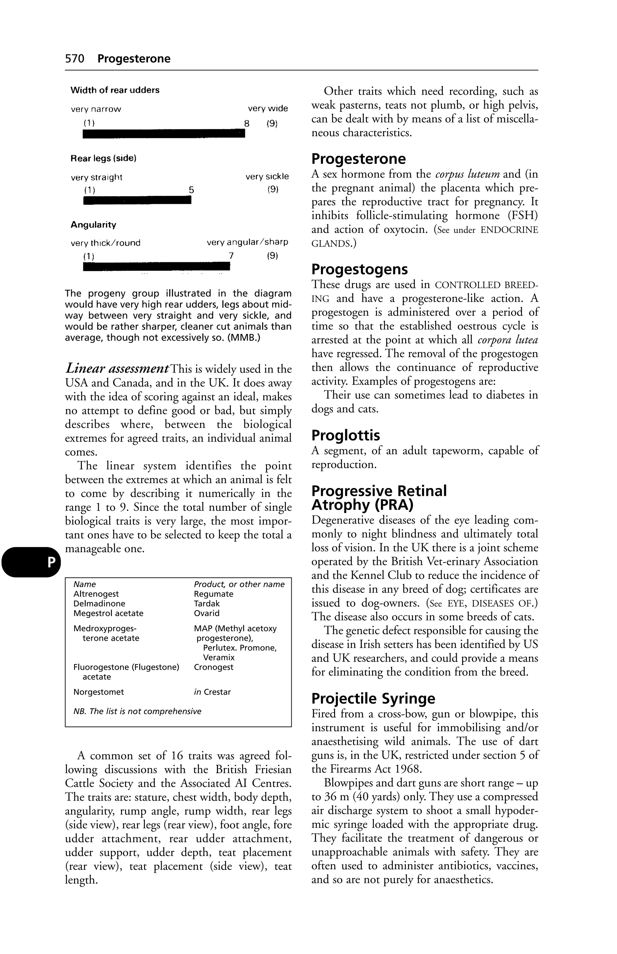 Veterinary dictionary _21st_edition