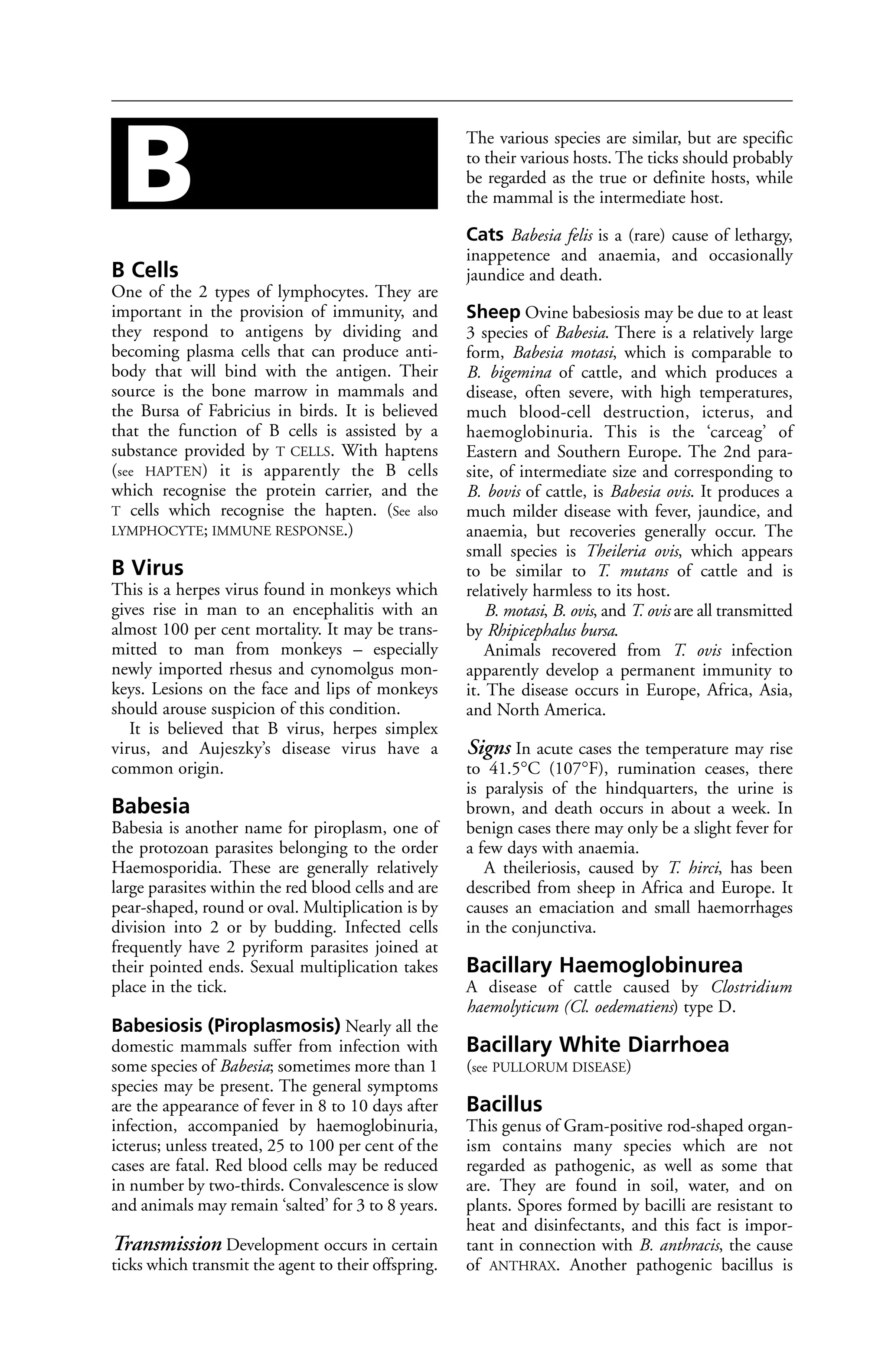 B Cells 
One of the 2 types of lymphocytes. They are 
important in the provision of immunity, and 
they respond to antigens by dividing and 
becoming plasma cells that can produce anti-body 
that will bind with the antigen. Their 
source is the bone marrow in mammals and 
the Bursa of Fabricius in birds. It is believed 
that the function of B cells is assisted by a 
substance provided by T CELLS. With haptens 
(see HAPTEN) it is apparently the B cells 
which recognise the protein carrier, and the 
T cells which recognise the hapten. (See also 
LYMPHOCYTE; IMMUNE RESPONSE.) 
B Virus 
This is a herpes virus found in monkeys which 
gives rise in man to an encephalitis with an 
almost 100 per cent mortality. It may be trans-mitted 
to man from monkeys – especially 
newly imported rhesus and cynomolgus mon-keys. 
Lesions on the face and lips of monkeys 
should arouse suspicion of this condition. 
It is believed that B virus, herpes simplex 
virus, and Aujeszky’s disease virus have a 
common origin. 
Babesia 
Babesia is another name for piroplasm, one of 
the protozoan parasites belonging to the order 
Haemosporidia. These are generally relatively 
large parasites within the red blood cells and are 
pear-shaped, round or oval. Multiplication is by 
division into 2 or by budding. Infected cells 
frequently have 2 pyriform parasites joined at 
their pointed ends. Sexual multiplication takes 
place in the tick. 
Babesiosis (Piroplasmosis) Nearly all the 
domestic mammals suffer from infection with 
some species of Babesia; sometimes more than 1 
species may be present. The general symptoms 
are the appearance of fever in 8 to 10 days after 
infection, accompanied by haemoglobinuria, 
icterus; unless treated, 25 to 100 per cent of the 
cases are fatal. Red blood cells may be reduced 
in number by two-thirds. Convalescence is slow 
and animals may remain ‘salted’ for 3 to 8 years. 
Transmission Development occurs in certain 
ticks which transmit the agent to their offspring. 
The various species are similar, but are specific 
to their various hosts. The ticks should probably 
be regarded as the true or definite hosts, while 
the mammal is the intermediate host. 
Cats Babesia felis is a (rare) cause of lethargy, 
inappetence and anaemia, and occasionally 
jaundice and death. 
Sheep Ovine babesiosis may be due to at least 
3 species of Babesia. There is a relatively large 
form, Babesia motasi, which is comparable to 
B. bigemina of cattle, and which produces a 
disease, often severe, with high temperatures, 
much blood-cell destruction, icterus, and 
haemoglobinuria. This is the ‘carceag’ of 
Eastern and Southern Europe. The 2nd para-site, 
of intermediate size and corresponding to 
B. bovis of cattle, is Babesia ovis. It produces a 
much milder disease with fever, jaundice, and 
anaemia, but recoveries generally occur. The 
small species is Theileria ovis, which appears 
to be similar to T. mutans of cattle and is 
relatively harmless to its host. 
B. motasi, B. ovis, and T. ovis are all transmitted 
by Rhipicephalus bursa. 
Animals recovered from T. ovis infection 
apparently develop a permanent immunity to 
it. The disease occurs in Europe, Africa, Asia, 
and North America. 
Signs In acute cases the temperature may rise 
to 41.5°C (107°F), rumination ceases, there 
is paralysis of the hindquarters, the urine is 
brown, and death occurs in about a week. In 
benign cases there may only be a slight fever for 
a few days with anaemia. 
A theileriosis, caused by T. hirci, has been 
described from sheep in Africa and Europe. It 
causes an emaciation and small haemorrhages 
in the conjunctiva. 
Bacillary Haemoglobinurea 
A disease of cattle caused by Clostridium 
haemolyticum (Cl. oedematiens) type D. 
Bacillary White Diarrhoea 
(see PULLORUM DISEASE) 
Bacillus 
This genus of Gram-positive rod-shaped organ-ism 
contains many species which are not 
regarded as pathogenic, as well as some that 
are. They are found in soil, water, and on 
plants. Spores formed by bacilli are resistant to 
heat and disinfectants, and this fact is impor-tant 
in connection with B. anthracis, the cause 
of ANTHRAX. Another pathogenic bacillus is 
B 
 