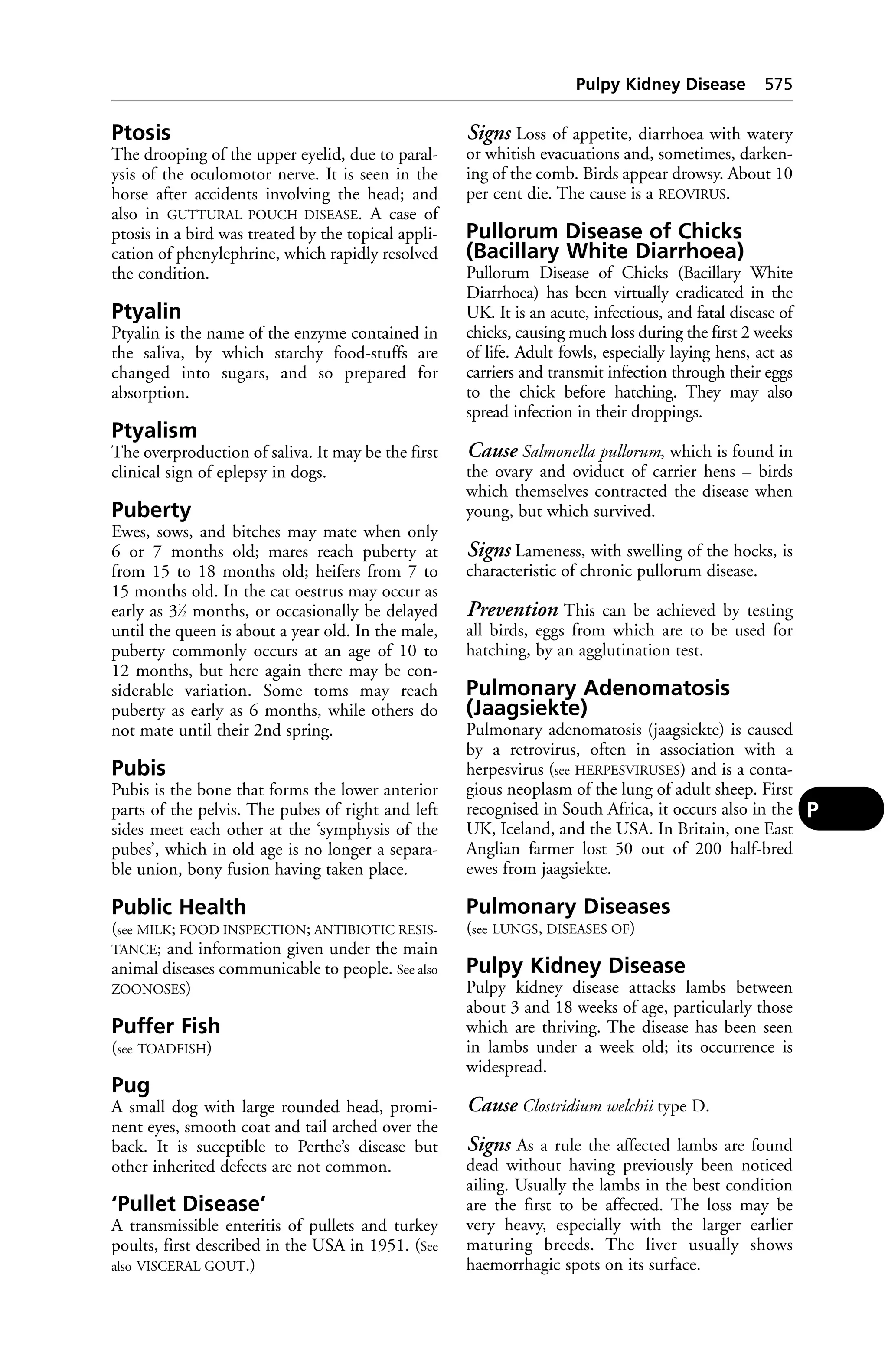 Veterinary dictionary _21st_edition