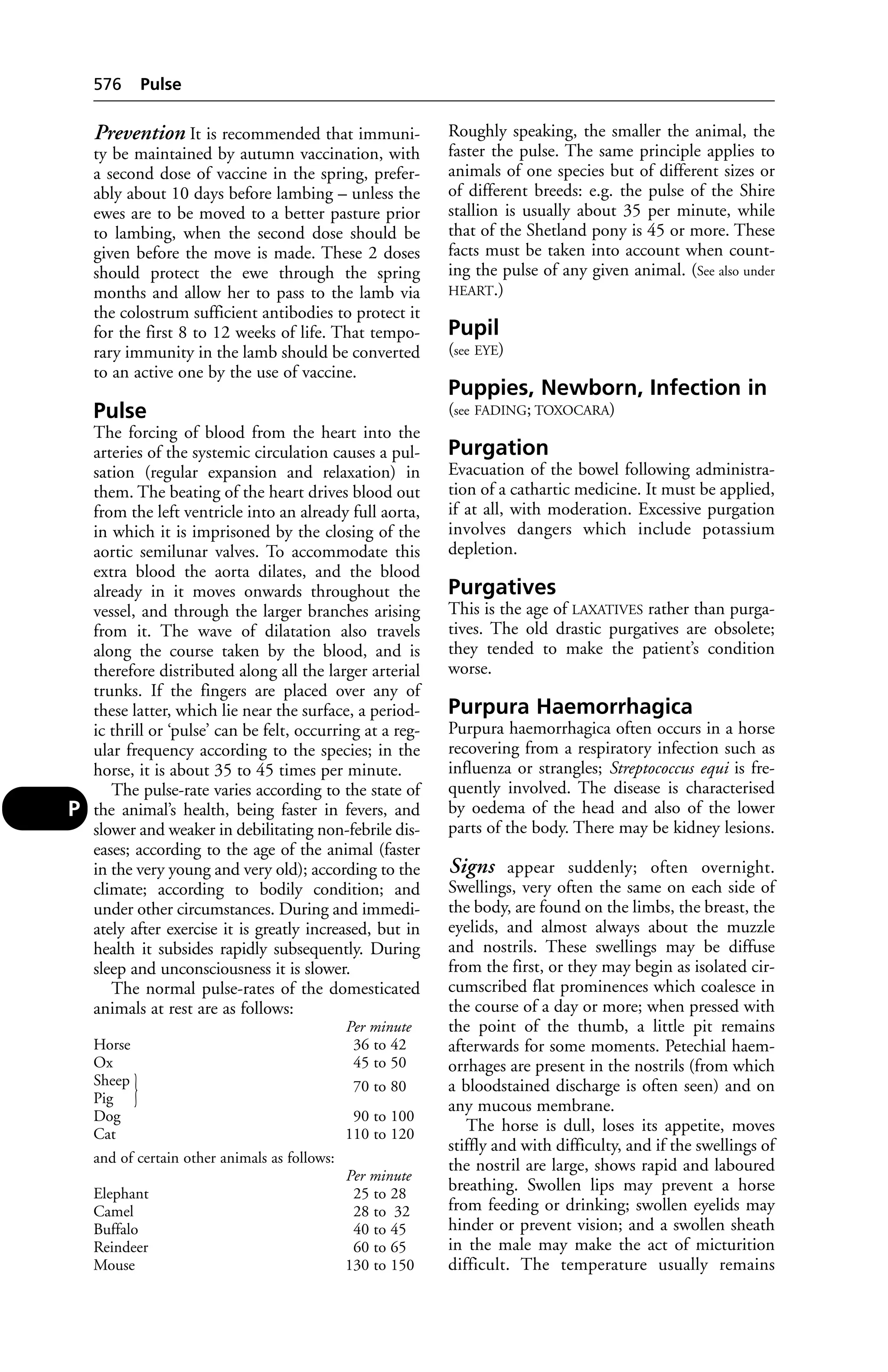 Veterinary dictionary _21st_edition