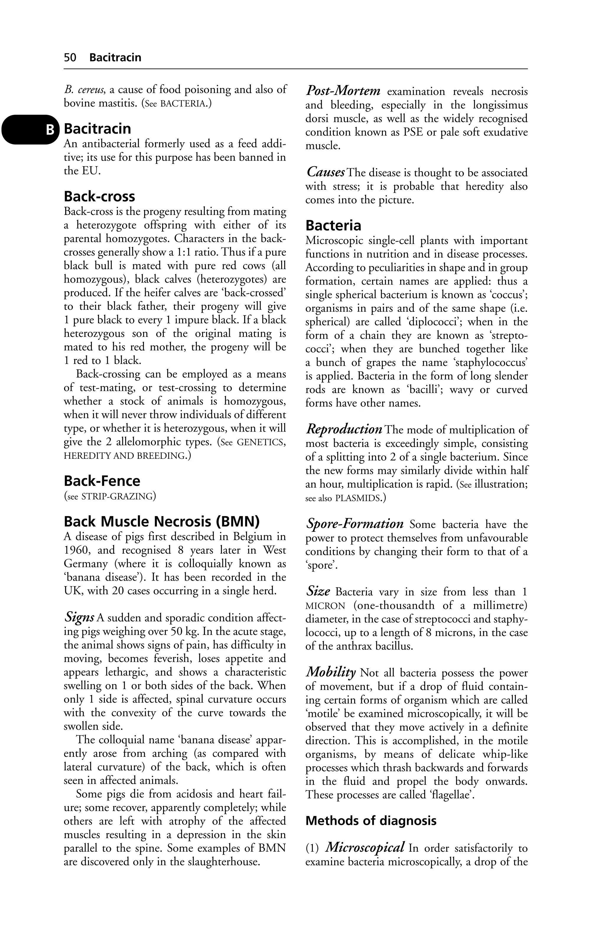 B. cereus, a cause of food poisoning and also of 
bovine mastitis. (See BACTERIA.) 
Bacitracin 
An antibacterial formerly used as a feed addi-tive; 
its use for this purpose has been banned in 
the EU. 
Back-cross 
Back-cross is the progeny resulting from mating 
a heterozygote offspring with either of its 
parental homozygotes. Characters in the back-crosses 
generally show a 1:1 ratio. Thus if a pure 
black bull is mated with pure red cows (all 
homozygous), black calves (heterozygotes) are 
produced. If the heifer calves are ‘back-crossed’ 
to their black father, their progeny will give 
1 pure black to every 1 impure black. If a black 
heterozygous son of the original mating is 
mated to his red mother, the progeny will be 
1 red to 1 black. 
Back-crossing can be employed as a means 
of test-mating, or test-crossing to determine 
whether a stock of animals is homozygous, 
when it will never throw individuals of different 
type, or whether it is heterozygous, when it will 
give the 2 allelomorphic types. (See GENETICS, 
HEREDITY AND BREEDING.) 
Back-Fence 
(see STRIP-GRAZING) 
Back Muscle Necrosis (BMN) 
A disease of pigs first described in Belgium in 
1960, and recognised 8 years later in West 
Germany (where it is colloquially known as 
‘banana disease’). It has been recorded in the 
UK, with 20 cases occurring in a single herd. 
Signs A sudden and sporadic condition affect-ing 
pigs weighing over 50 kg. In the acute stage, 
the animal shows signs of pain, has difficulty in 
moving, becomes feverish, loses appetite and 
appears lethargic, and shows a characteristic 
swelling on 1 or both sides of the back. When 
only 1 side is affected, spinal curvature occurs 
with the convexity of the curve towards the 
swollen side. 
The colloquial name ‘banana disease’ appar-ently 
arose from arching (as compared with 
lateral curvature) of the back, which is often 
seen in affected animals. 
Some pigs die from acidosis and heart fail-ure; 
some recover, apparently completely; while 
others are left with atrophy of the affected 
muscles resulting in a depression in the skin 
parallel to the spine. Some examples of BMN 
are discovered only in the slaughterhouse. 
Post-Mortem examination reveals necrosis 
and bleeding, especially in the longissimus 
dorsi muscle, as well as the widely recognised 
condition known as PSE or pale soft exudative 
muscle. 
Causes The disease is thought to be associated 
with stress; it is probable that heredity also 
comes into the picture. 
Bacteria 
Microscopic single-cell plants with important 
functions in nutrition and in disease processes. 
According to peculiarities in shape and in group 
formation, certain names are applied: thus a 
single spherical bacterium is known as ‘coccus’; 
organisms in pairs and of the same shape (i.e. 
spherical) are called ‘diplococci’; when in the 
form of a chain they are known as ‘strepto-cocci’; 
when they are bunched together like 
a bunch of grapes the name ‘staphylococcus’ 
is applied. Bacteria in the form of long slender 
rods are known as ‘bacilli’; wavy or curved 
forms have other names. 
Reproduction The mode of multiplication of 
most bacteria is exceedingly simple, consisting 
of a splitting into 2 of a single bacterium. Since 
the new forms may similarly divide within half 
an hour, multiplication is rapid. (See illustration; 
see also PLASMIDS.) 
Spore-Formation Some bacteria have the 
power to protect themselves from unfavourable 
conditions by changing their form to that of a 
‘spore’. 
Size Bacteria vary in size from less than 1 
MICRON (one-thousandth of a millimetre) 
diameter, in the case of streptococci and staphy-lococci, 
up to a length of 8 microns, in the case 
of the anthrax bacillus. 
Mobility Not all bacteria possess the power 
of movement, but if a drop of fluid contain-ing 
certain forms of organism which are called 
‘motile’ be examined microscopically, it will be 
observed that they move actively in a definite 
direction. This is accomplished, in the motile 
organisms, by means of delicate whip-like 
processes which thrash backwards and forwards 
in the fluid and propel the body onwards. 
These processes are called ‘flagellae’. 
Methods of diagnosis 
(1) Microscopical In order satisfactorily to 
examine bacteria microscopically, a drop of the 
50 Bacitracin 
B 
 
